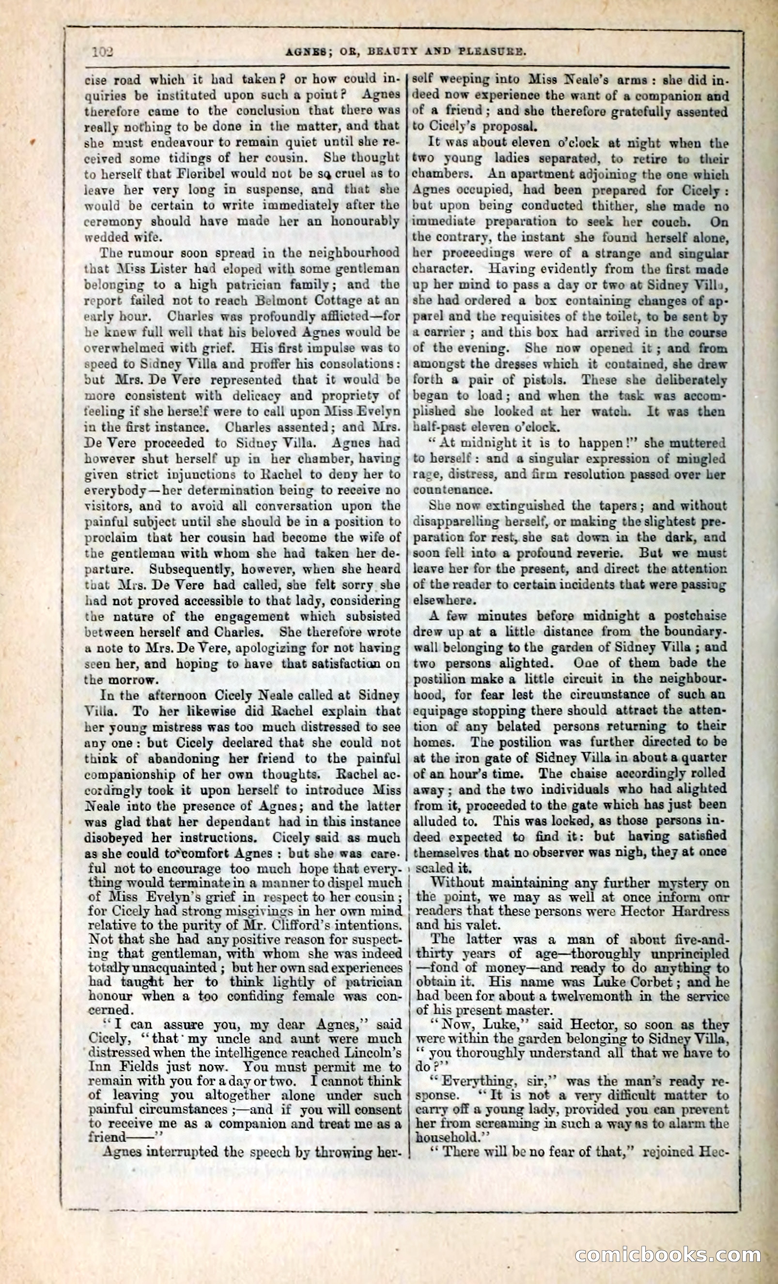 Agnes, or, Beauty and Pleasure — page 110 of 394