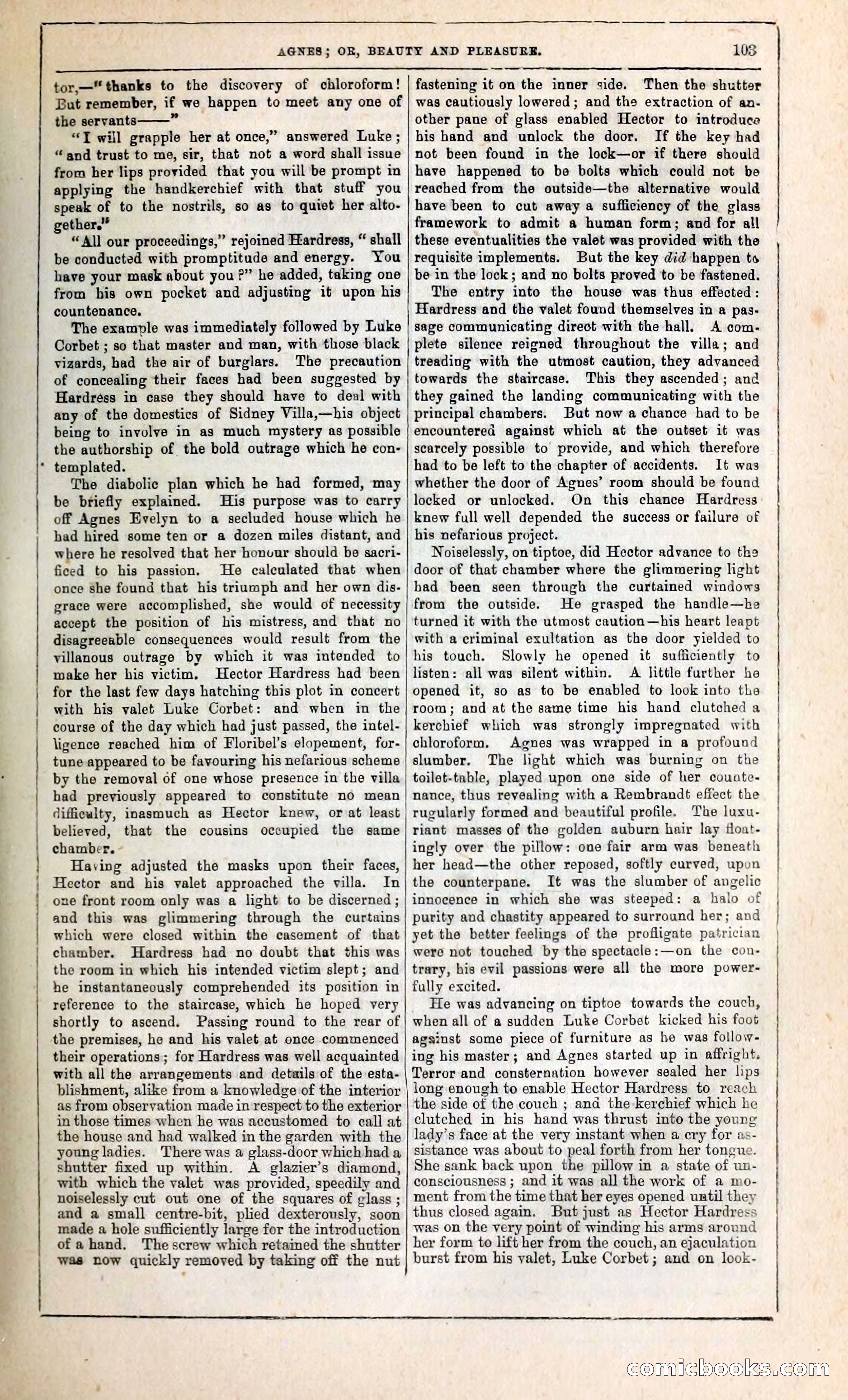 Agnes, or, Beauty and Pleasure — page 111 of 394