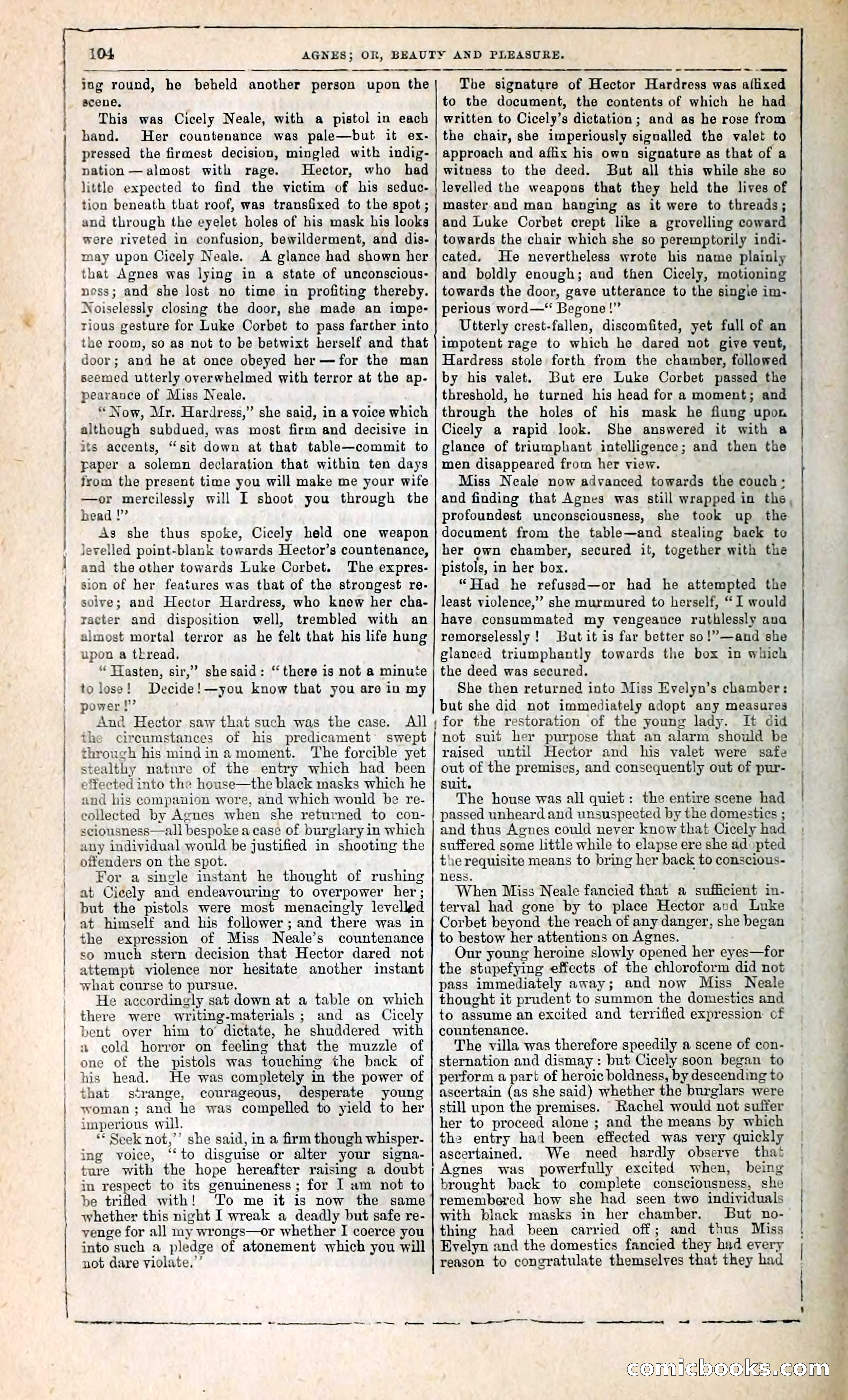 Agnes, or, Beauty and Pleasure — page 112 of 394