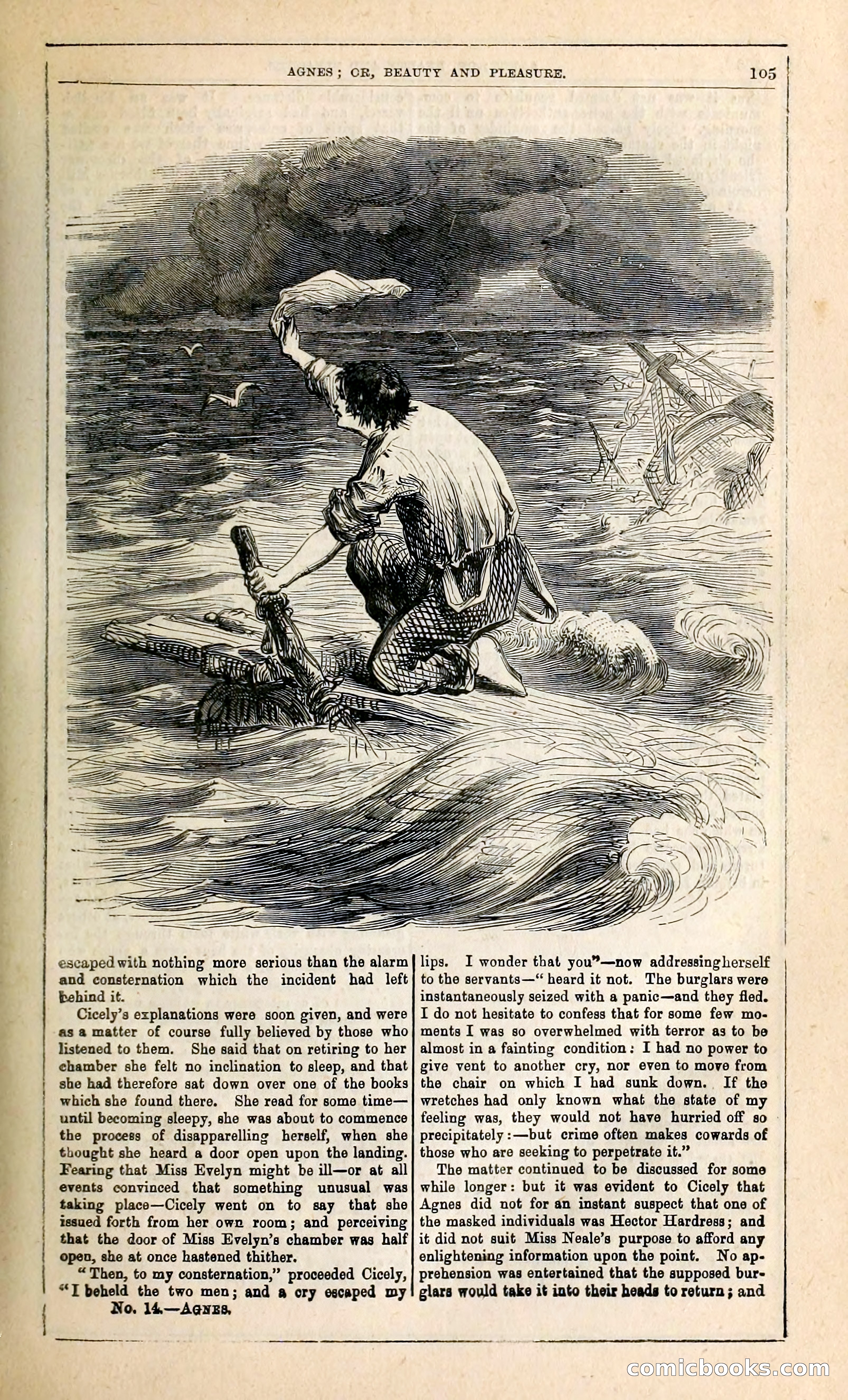 Agnes, or, Beauty and Pleasure — page 113 of 394