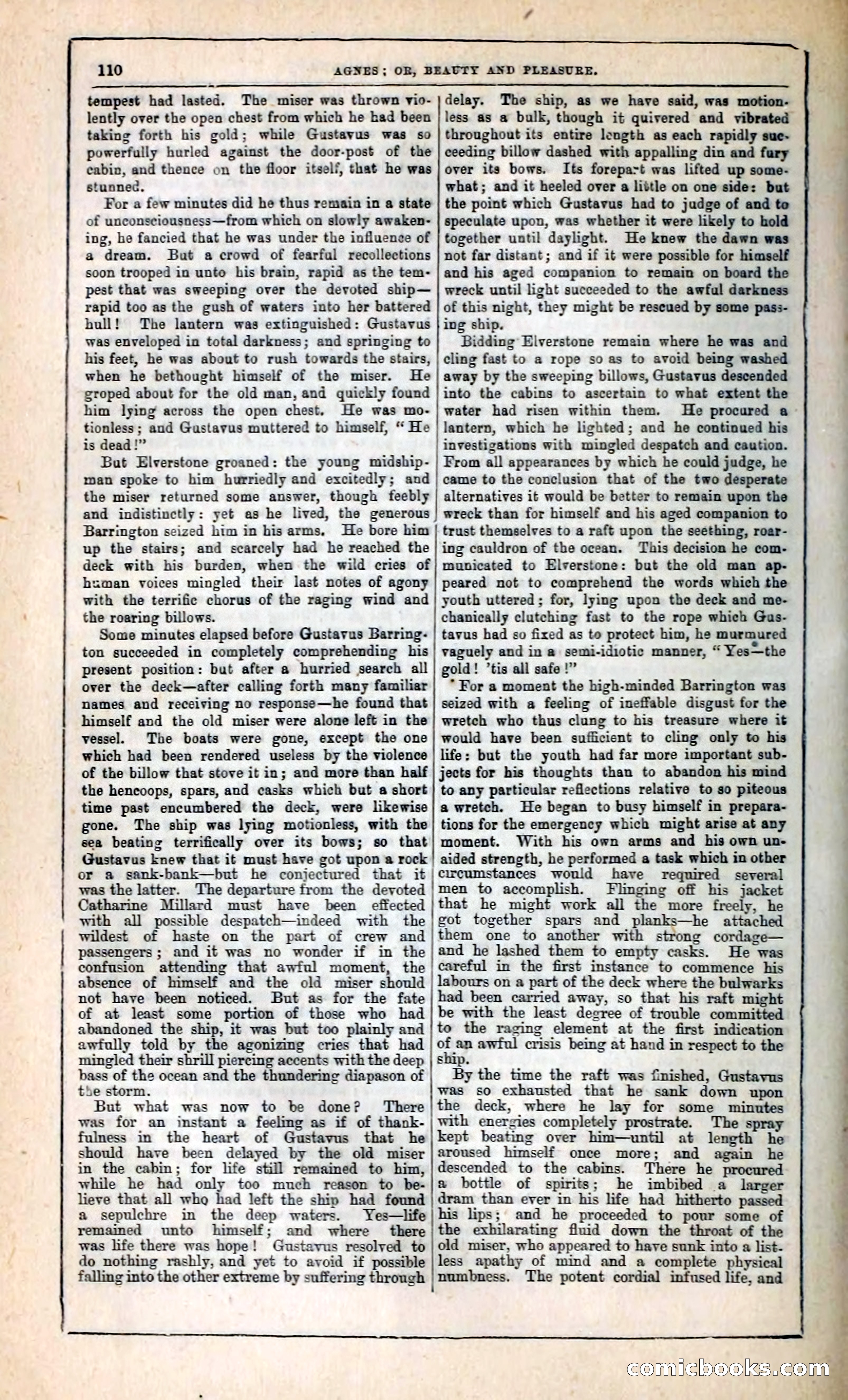 Agnes, or, Beauty and Pleasure — page 118 of 394