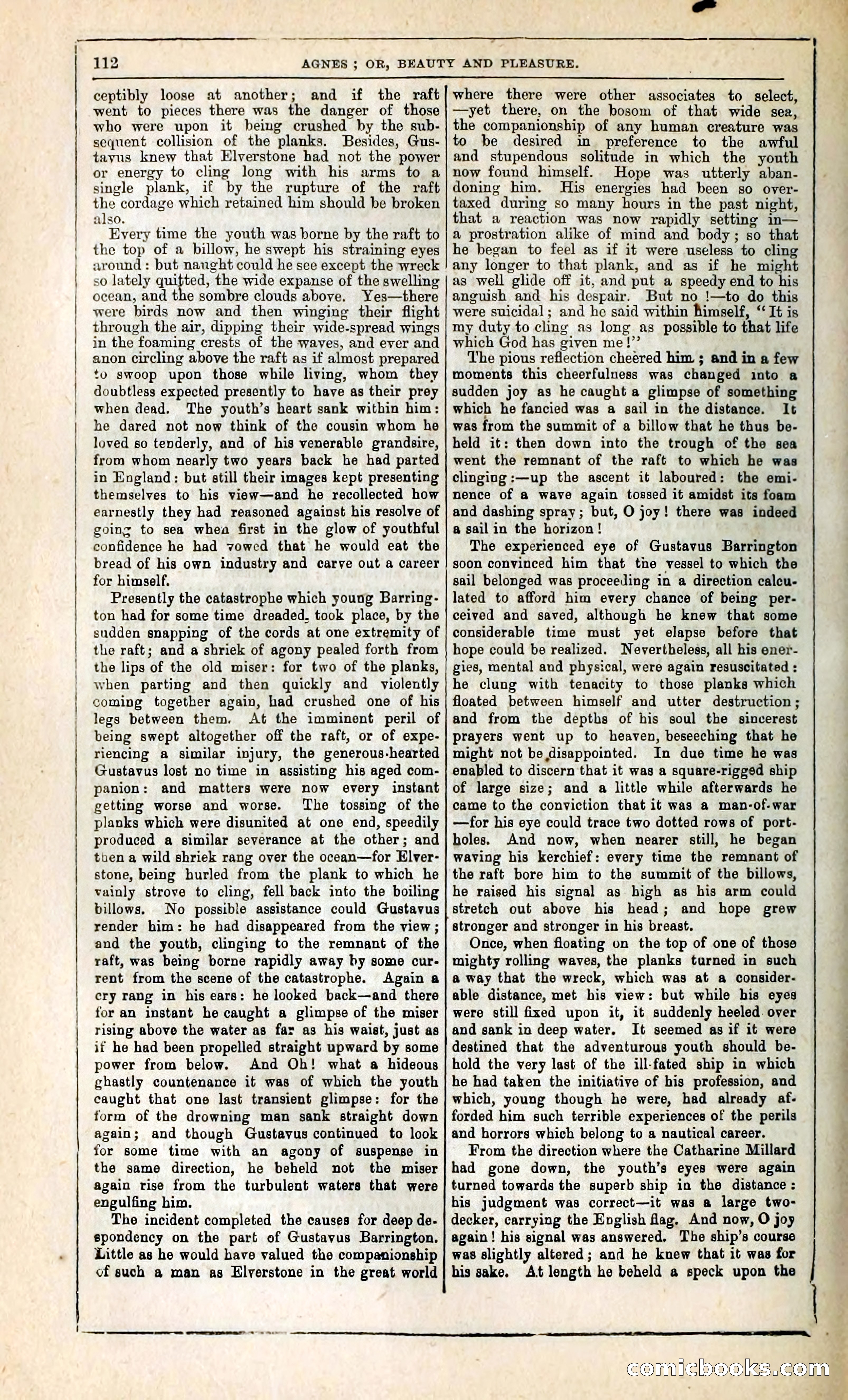 Agnes, or, Beauty and Pleasure — page 120 of 394