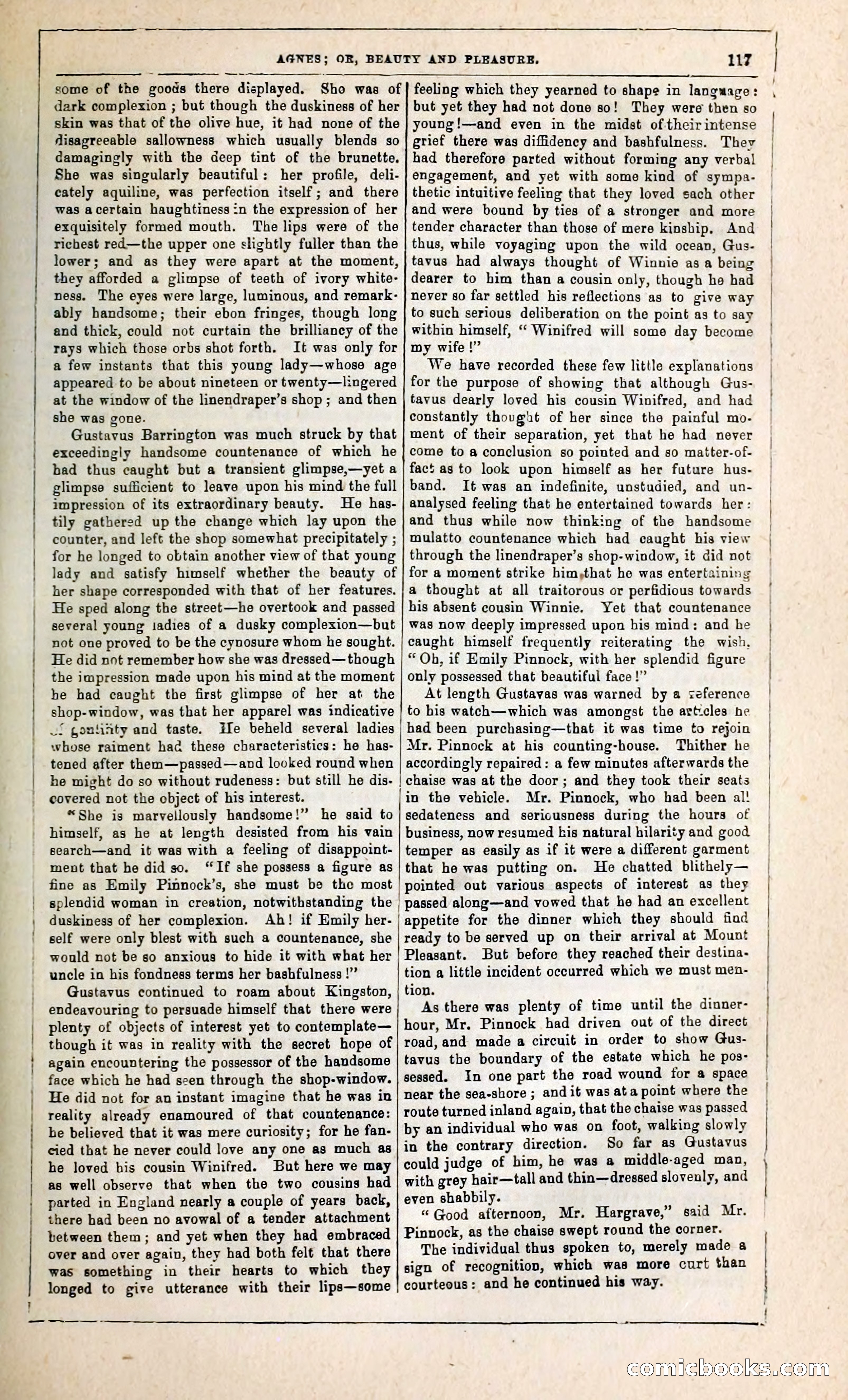Agnes, or, Beauty and Pleasure — page 125 of 394