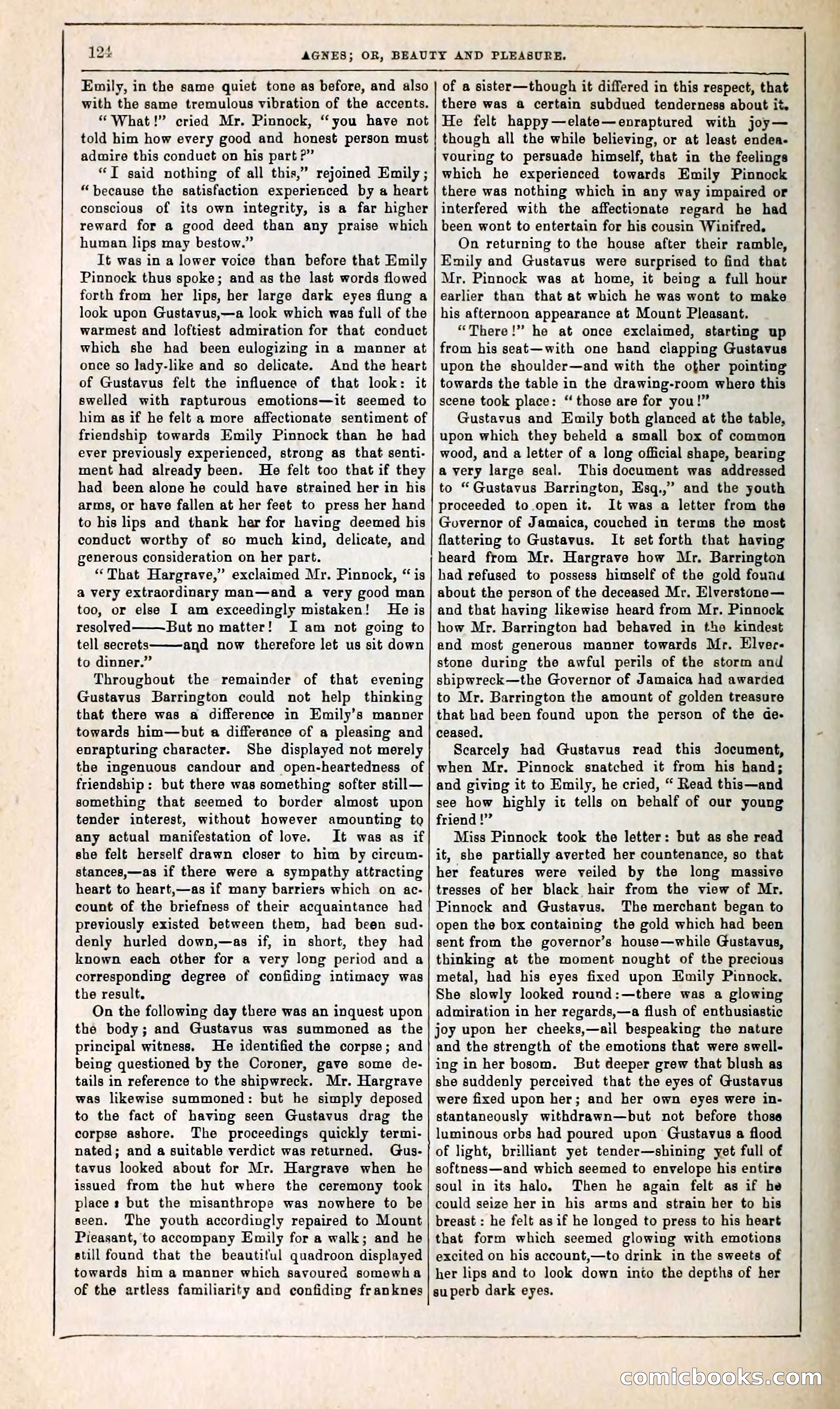 Agnes, or, Beauty and Pleasure — page 132 of 394