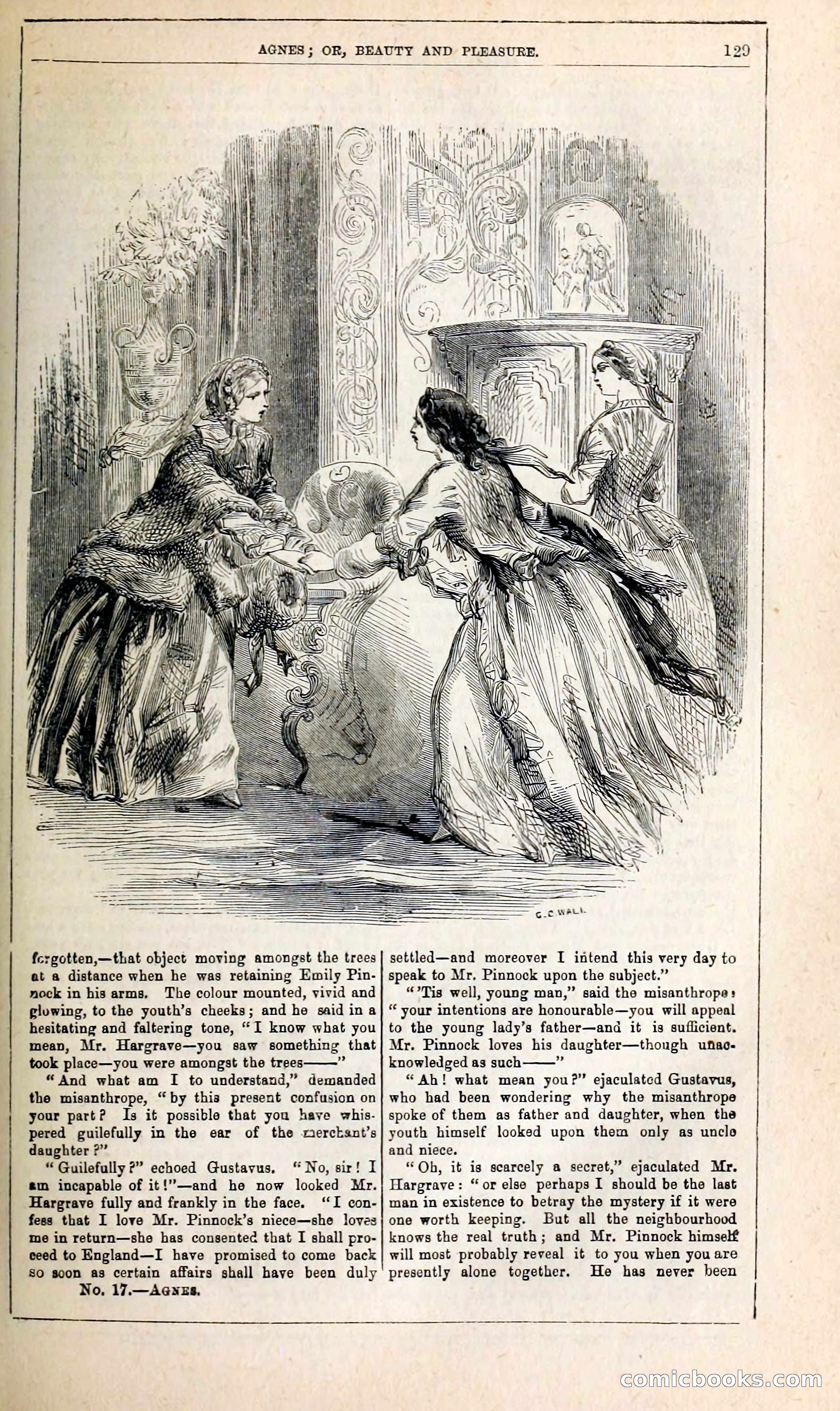 Agnes, or, Beauty and Pleasure — page 137 of 394