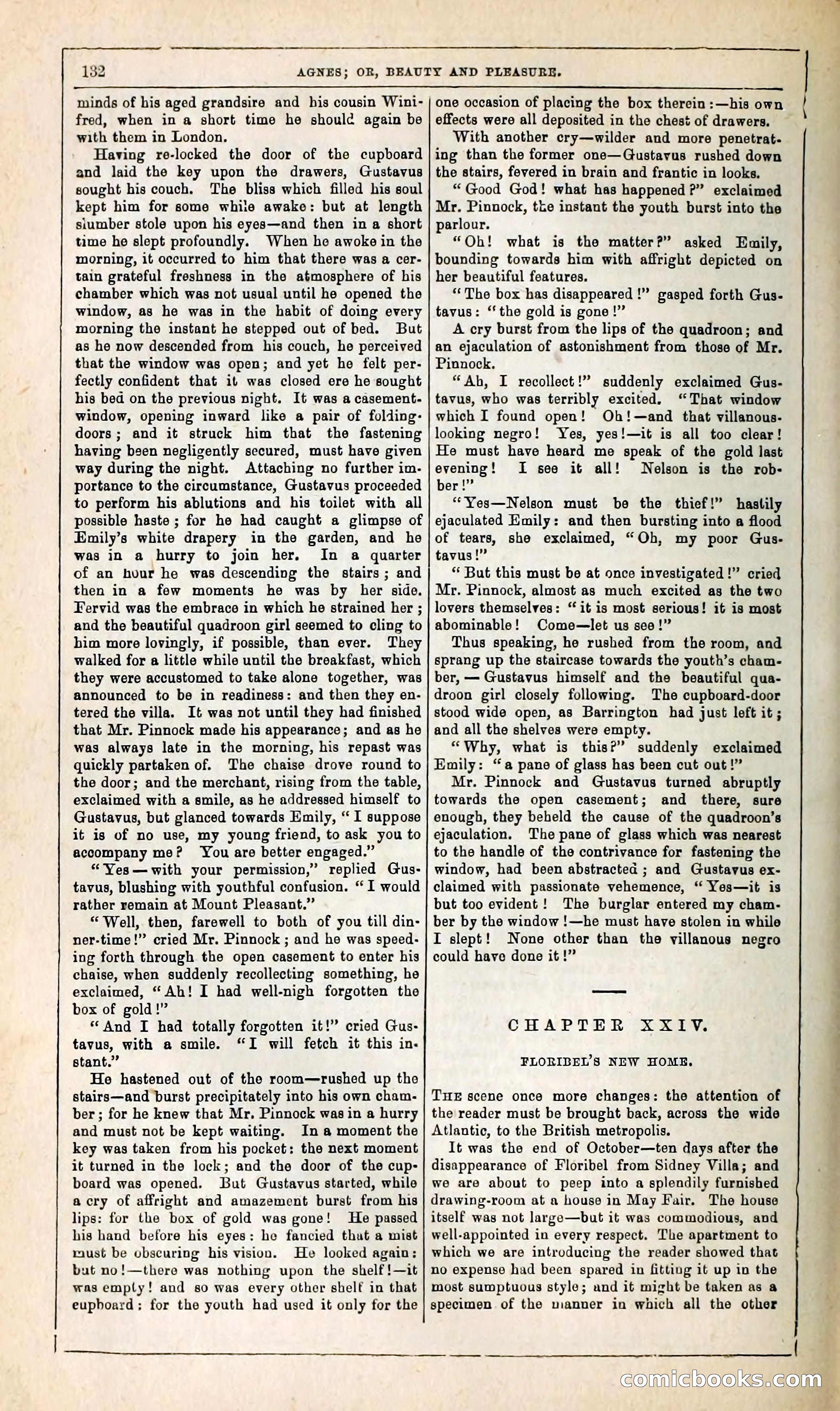 Agnes, or, Beauty and Pleasure — page 140 of 394