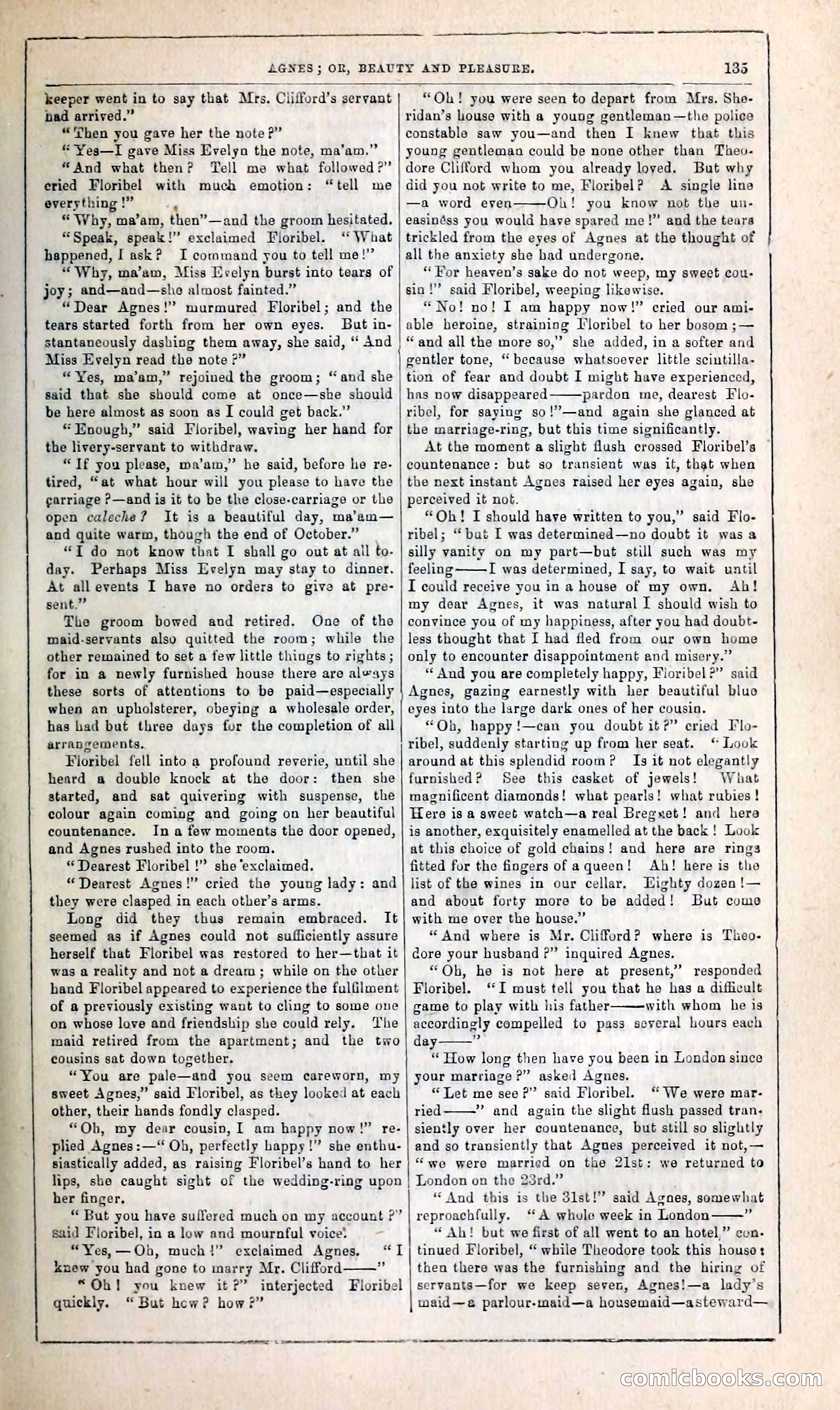 Agnes, or, Beauty and Pleasure — page 143 of 394