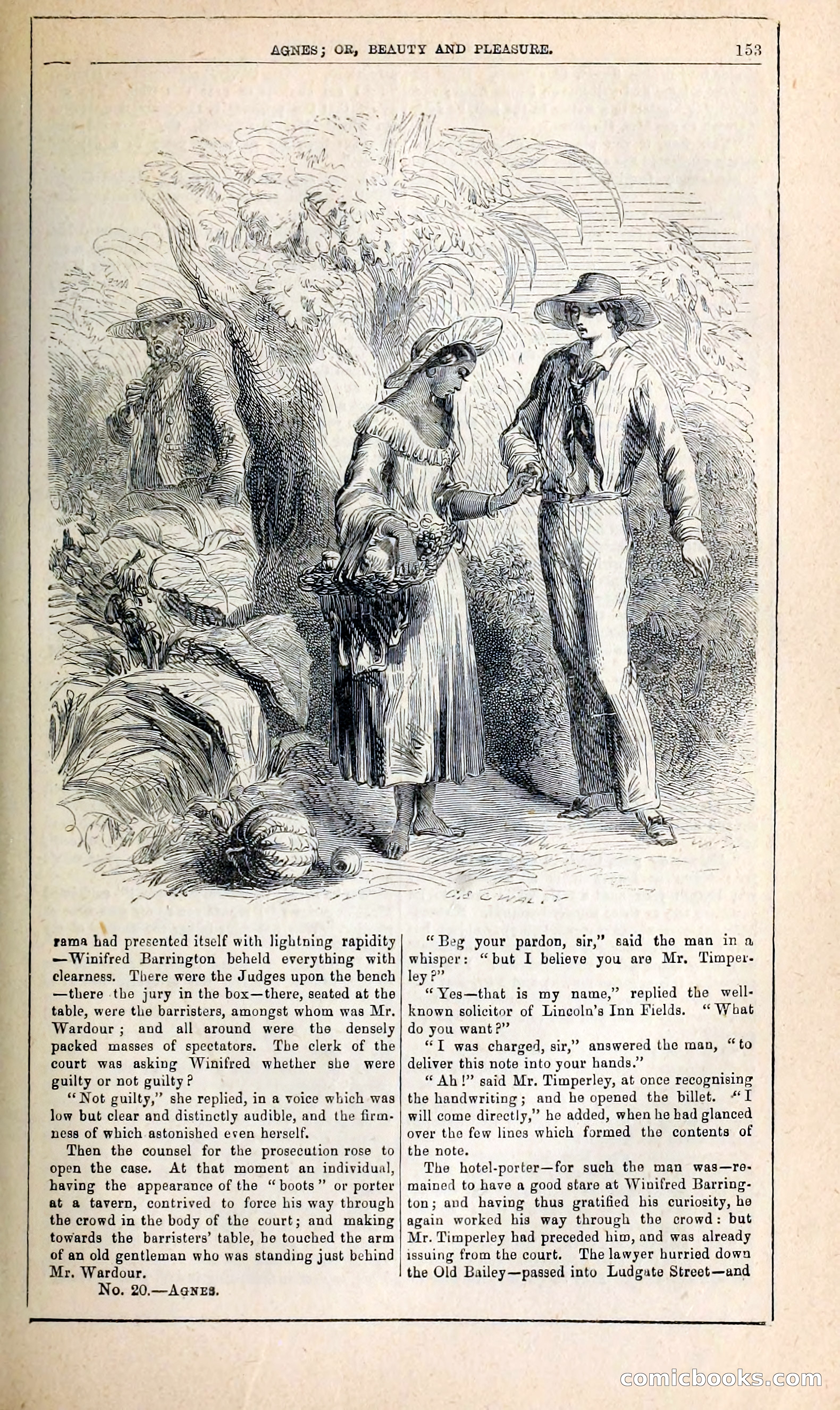 Agnes, or, Beauty and Pleasure — page 161 of 394