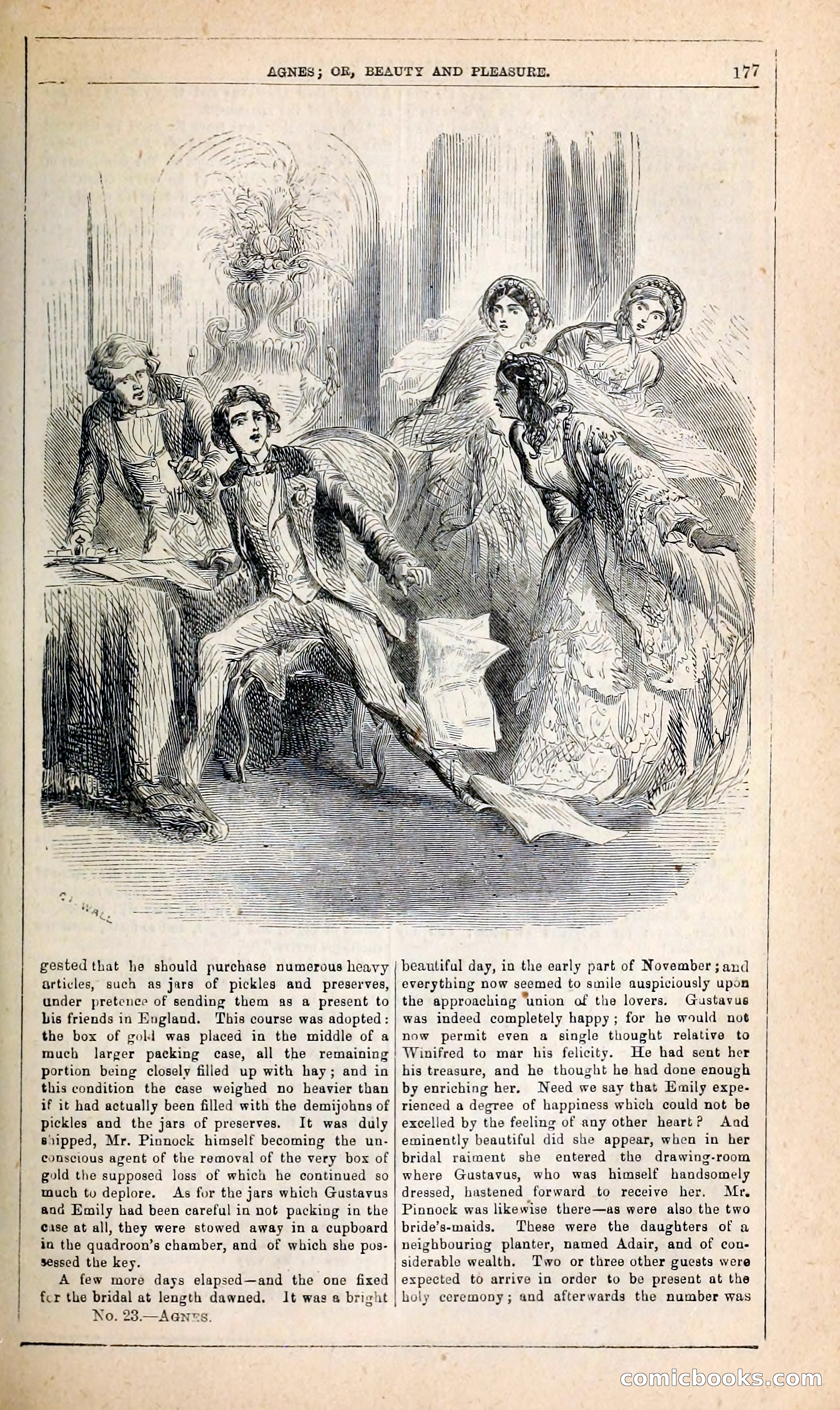 Agnes, or, Beauty and Pleasure — page 185 of 394