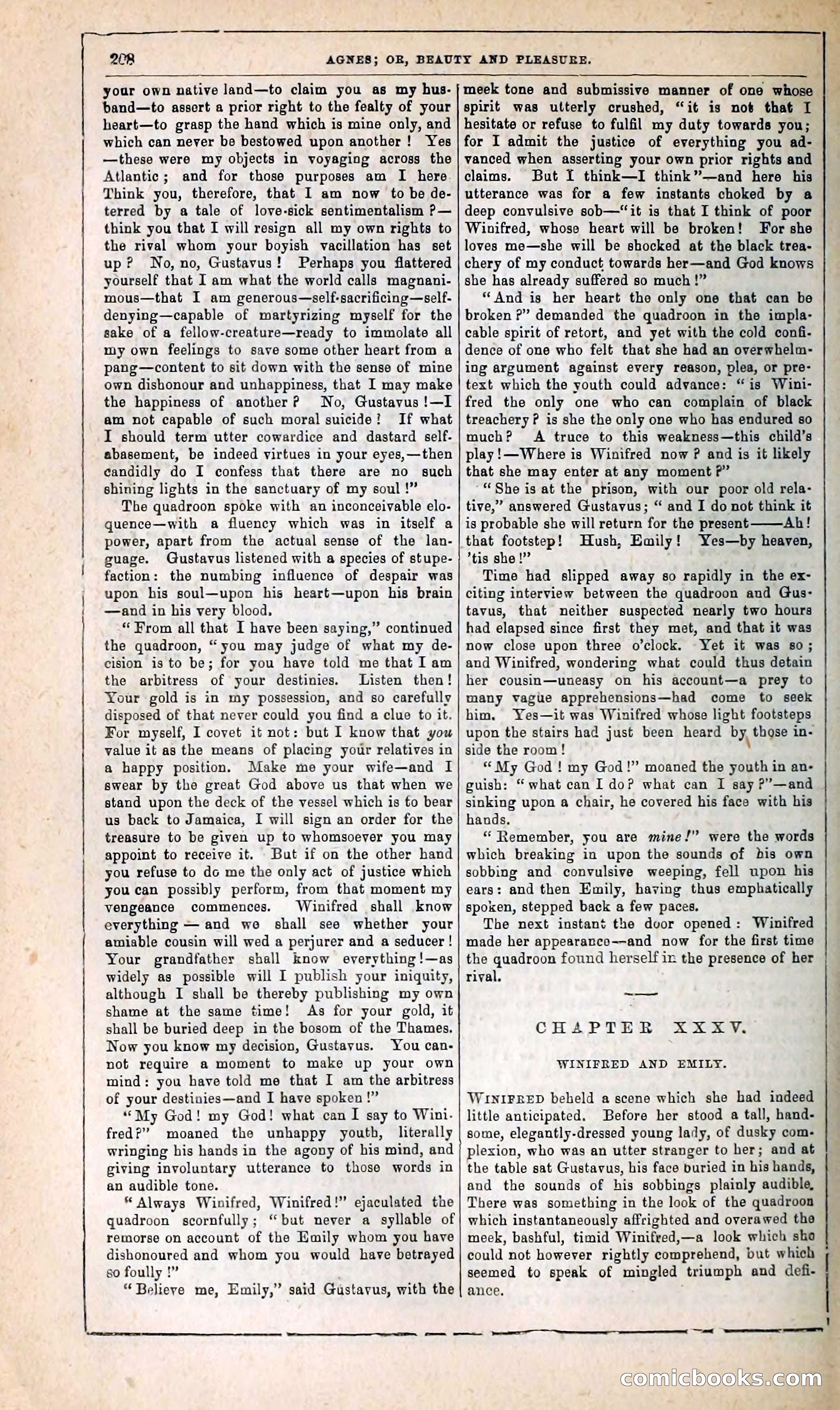Agnes, or, Beauty and Pleasure — page 216 of 394