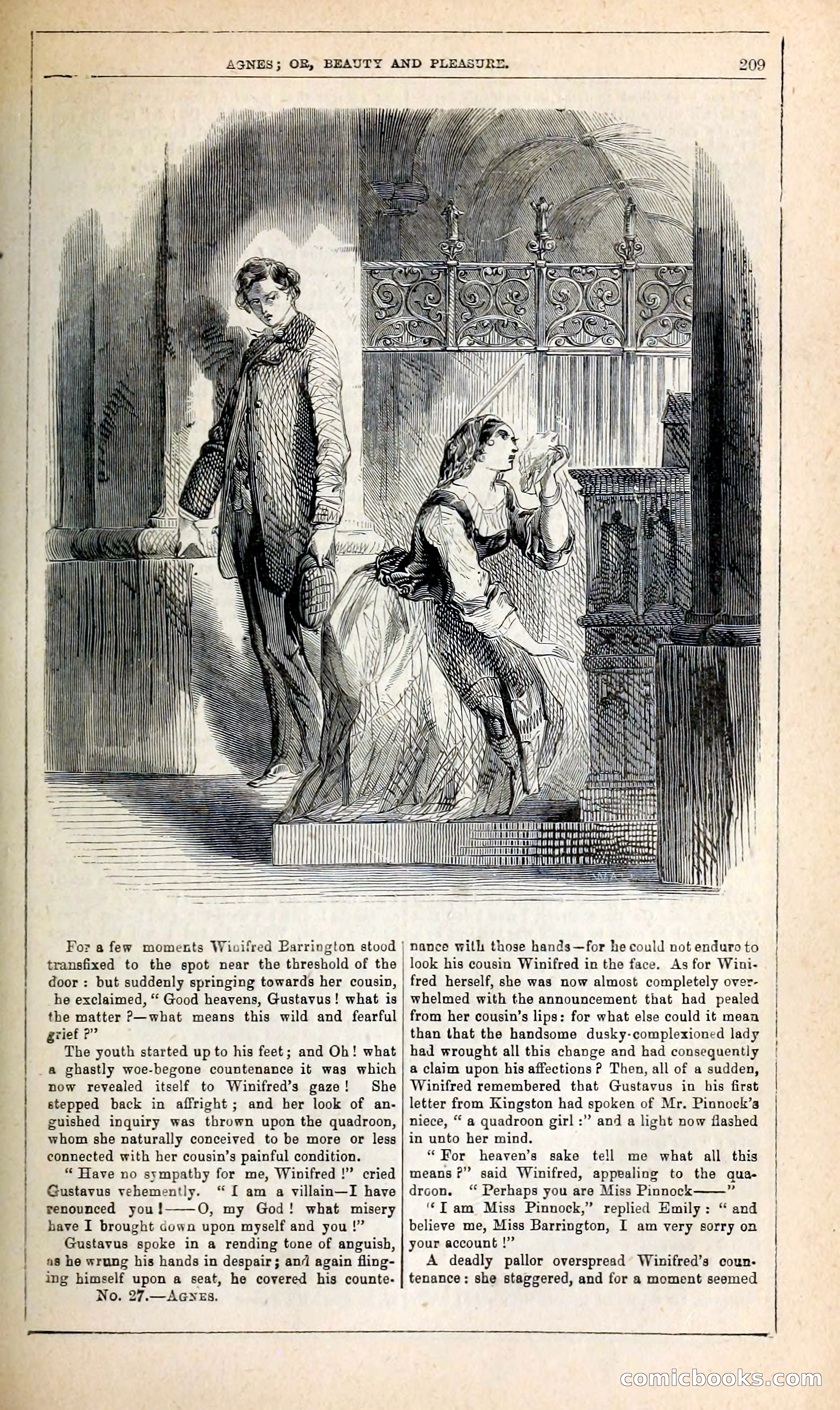 Agnes, or, Beauty and Pleasure — page 217 of 394