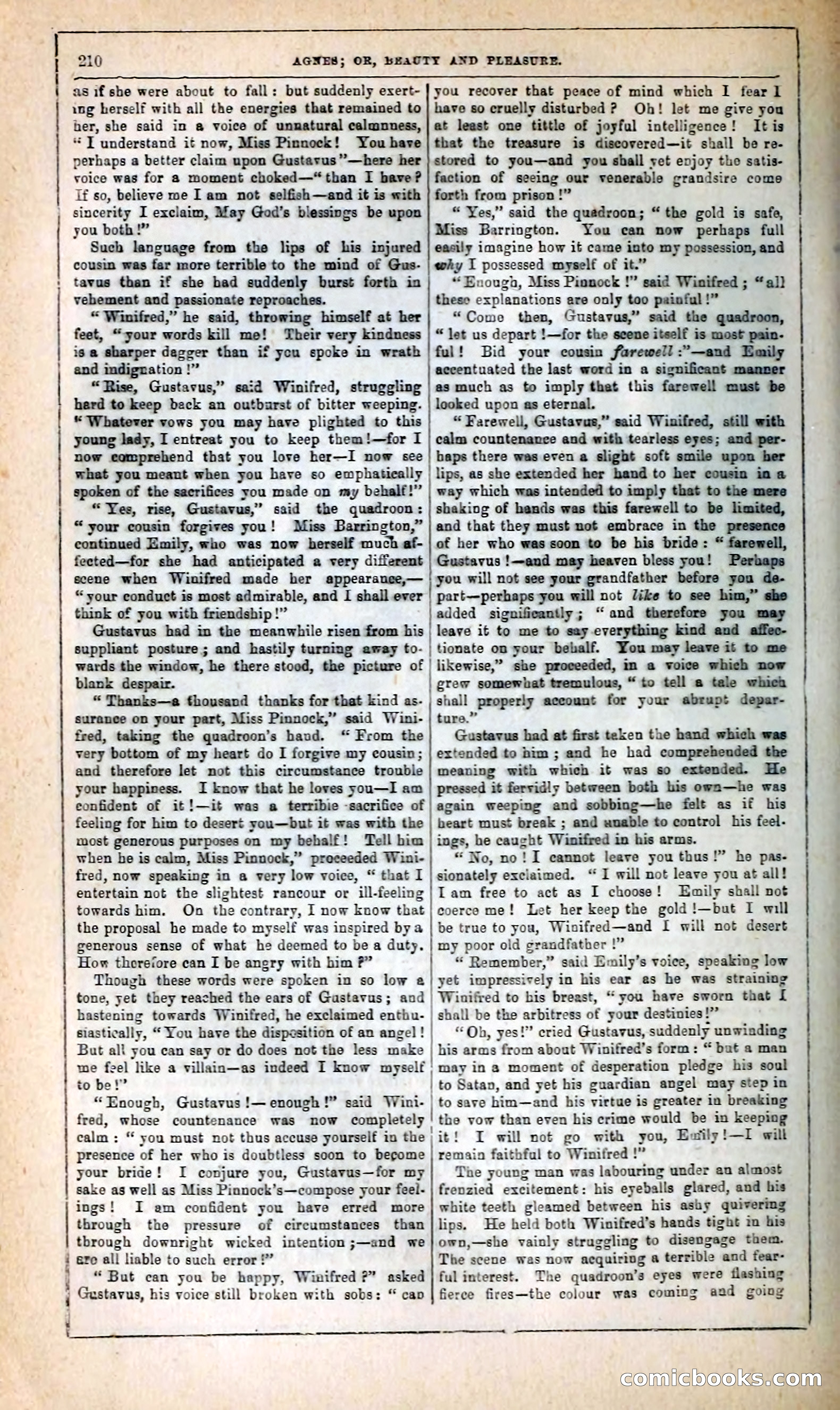 Agnes, or, Beauty and Pleasure — page 218 of 394