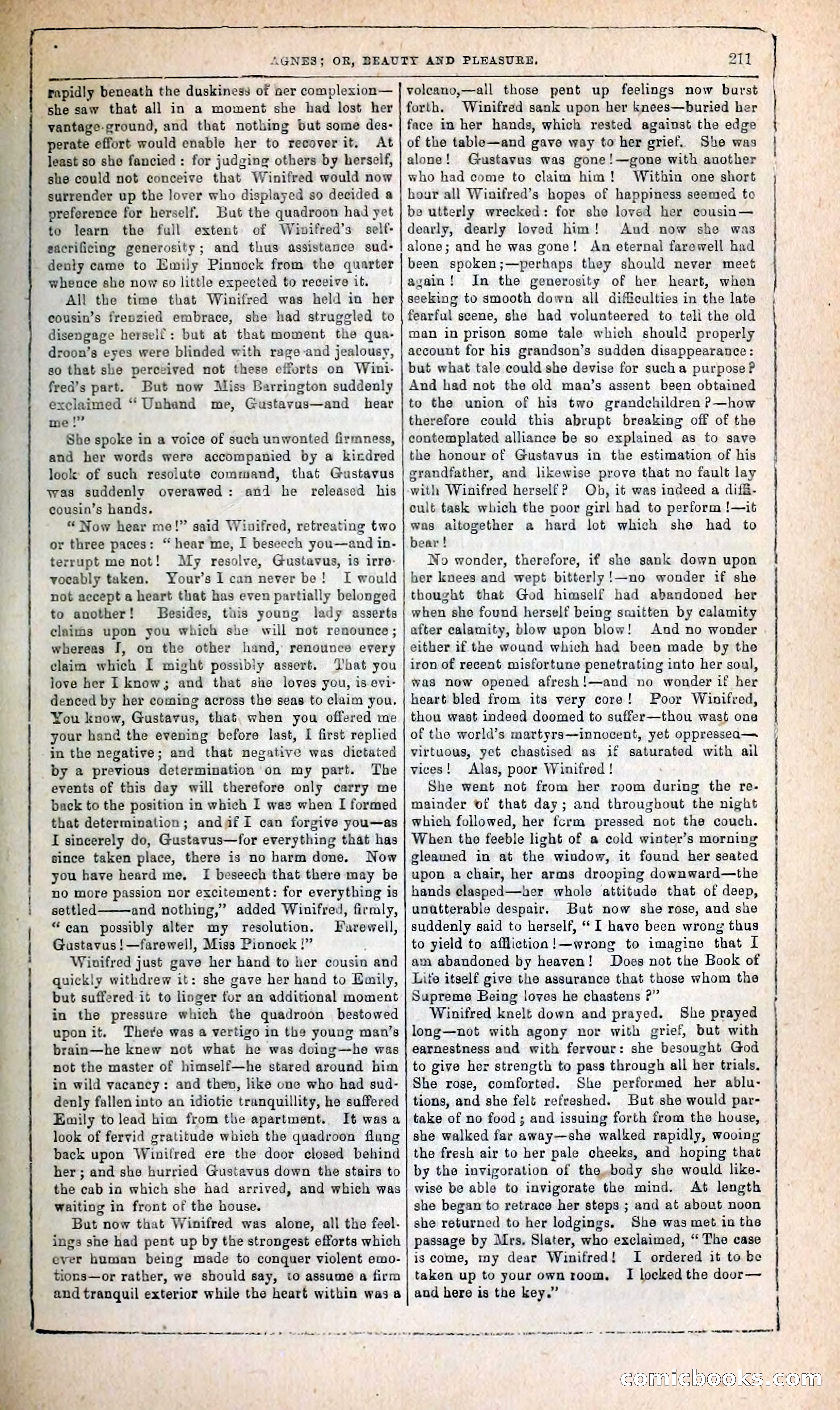 Agnes, or, Beauty and Pleasure — page 219 of 394