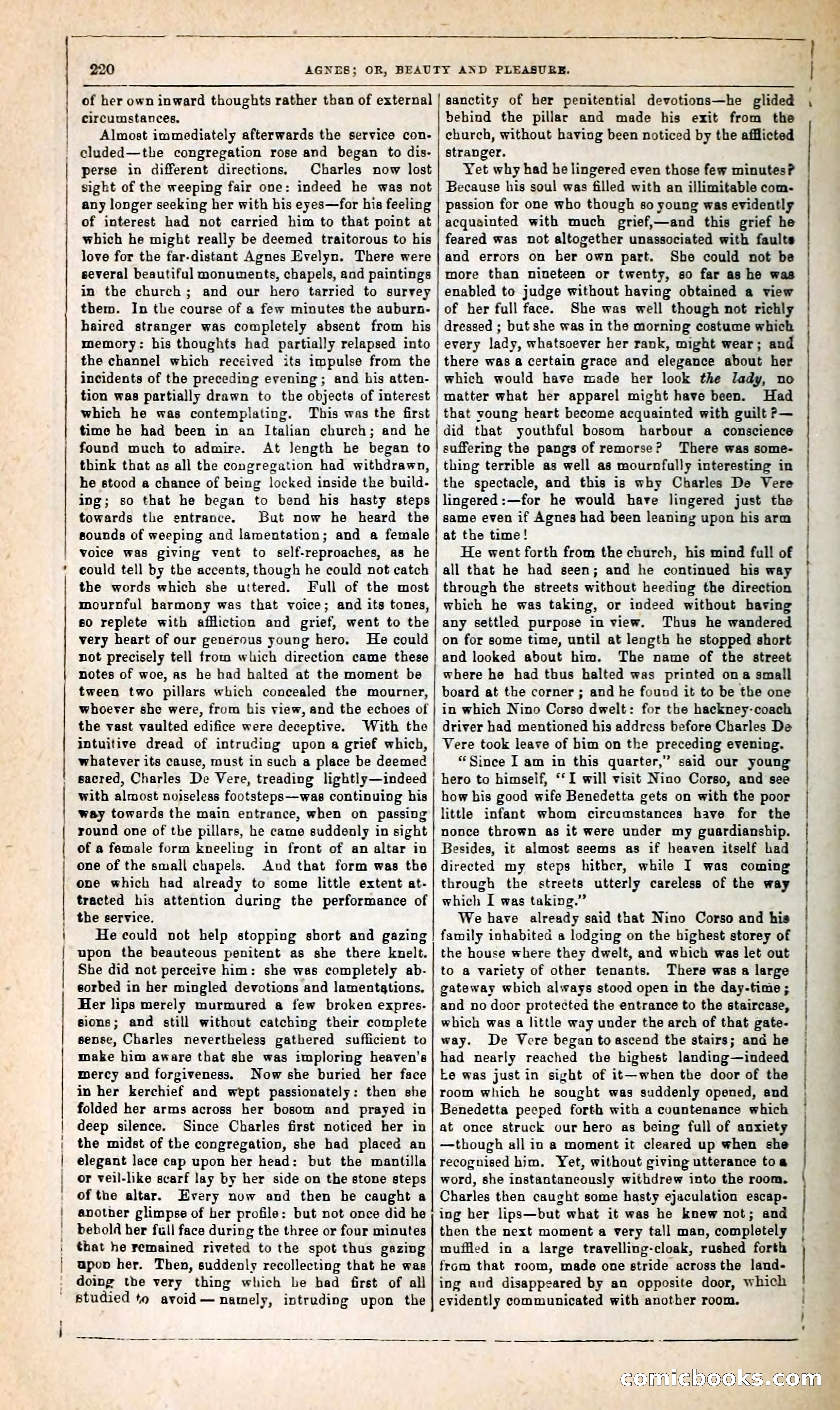 Agnes, or, Beauty and Pleasure — page 228 of 394