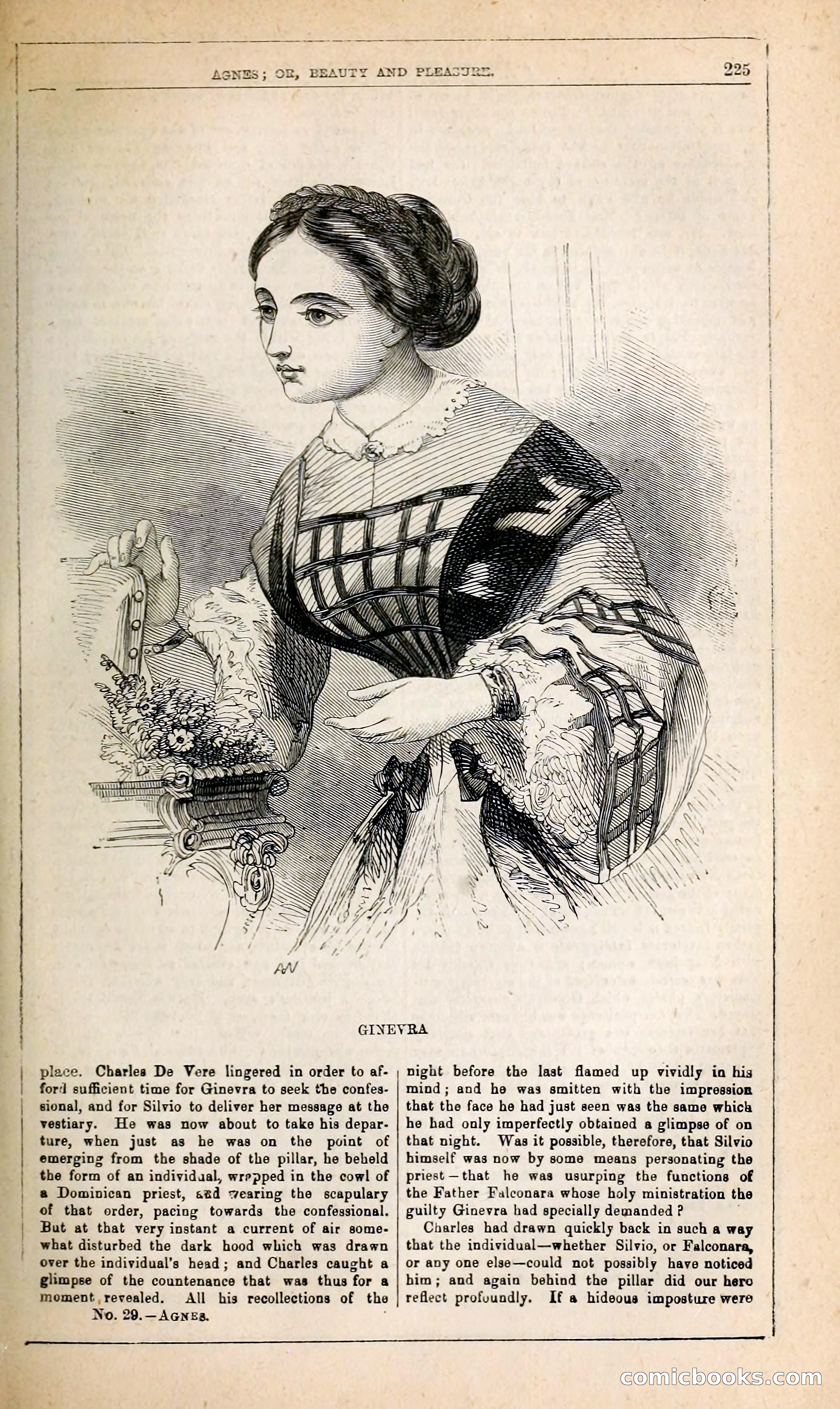 Agnes, or, Beauty and Pleasure — page 233 of 394