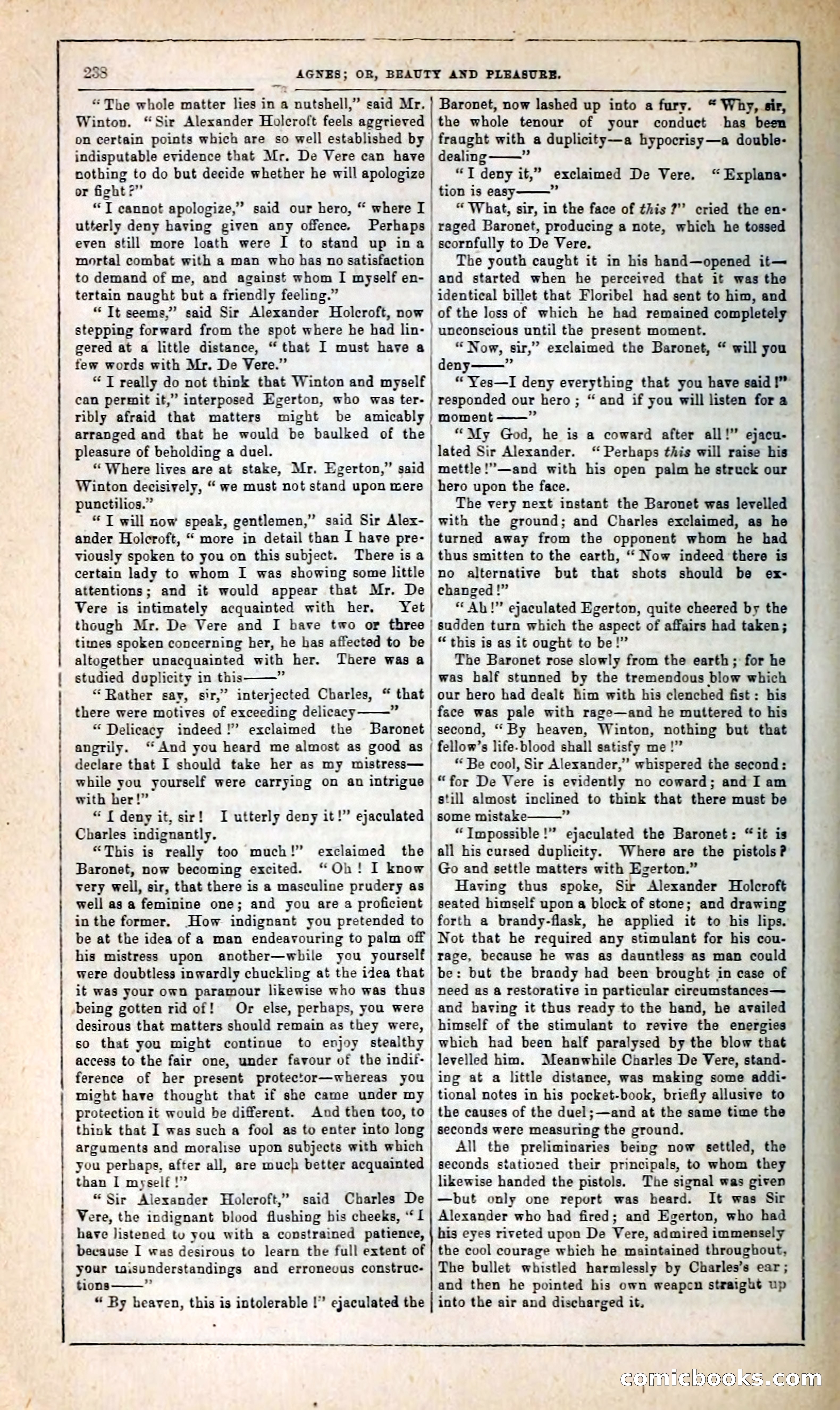 Agnes, or, Beauty and Pleasure — page 246 of 394