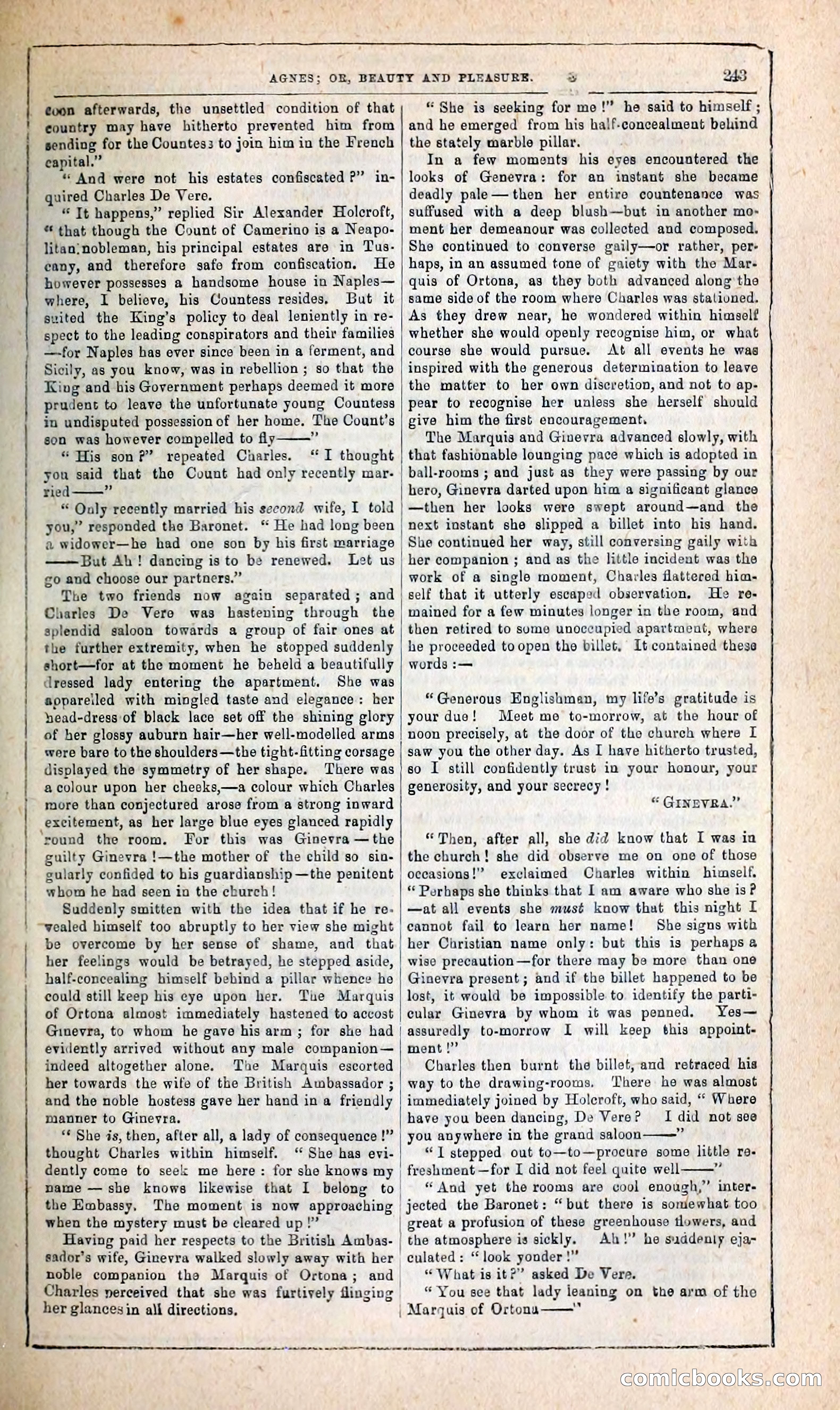 Agnes, or, Beauty and Pleasure — page 251 of 394