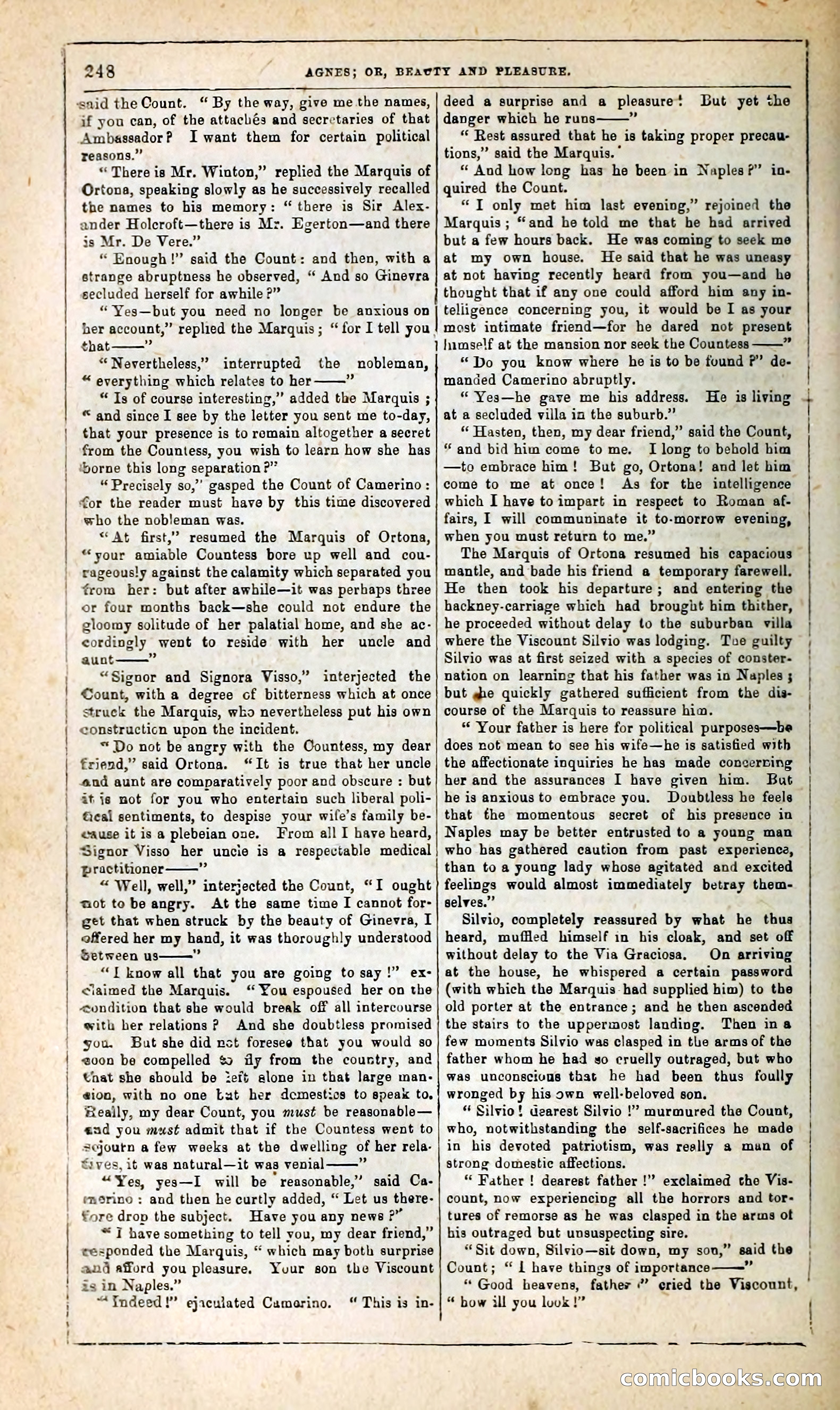 Agnes, or, Beauty and Pleasure — page 256 of 394