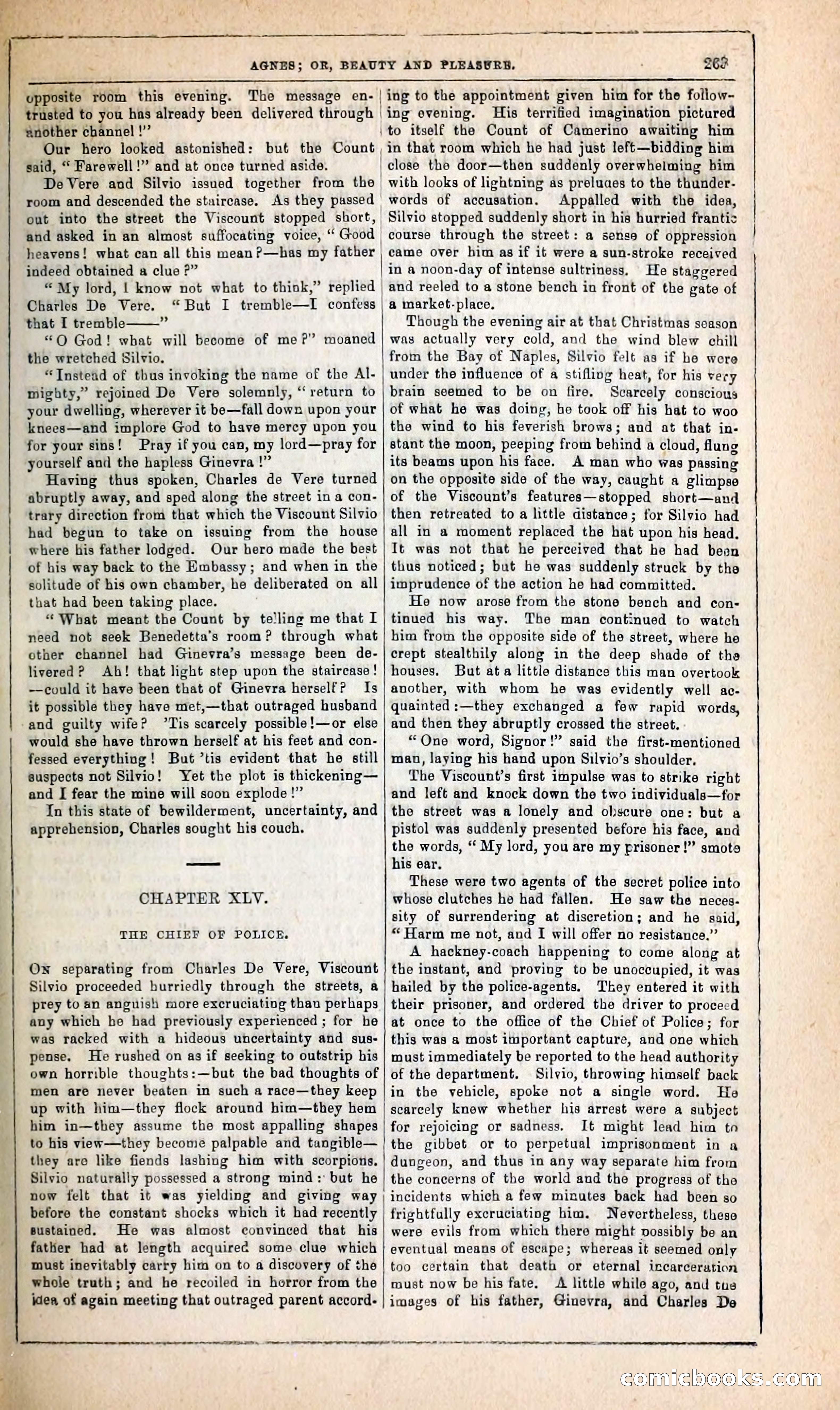 Agnes, or, Beauty and Pleasure — page 271 of 394