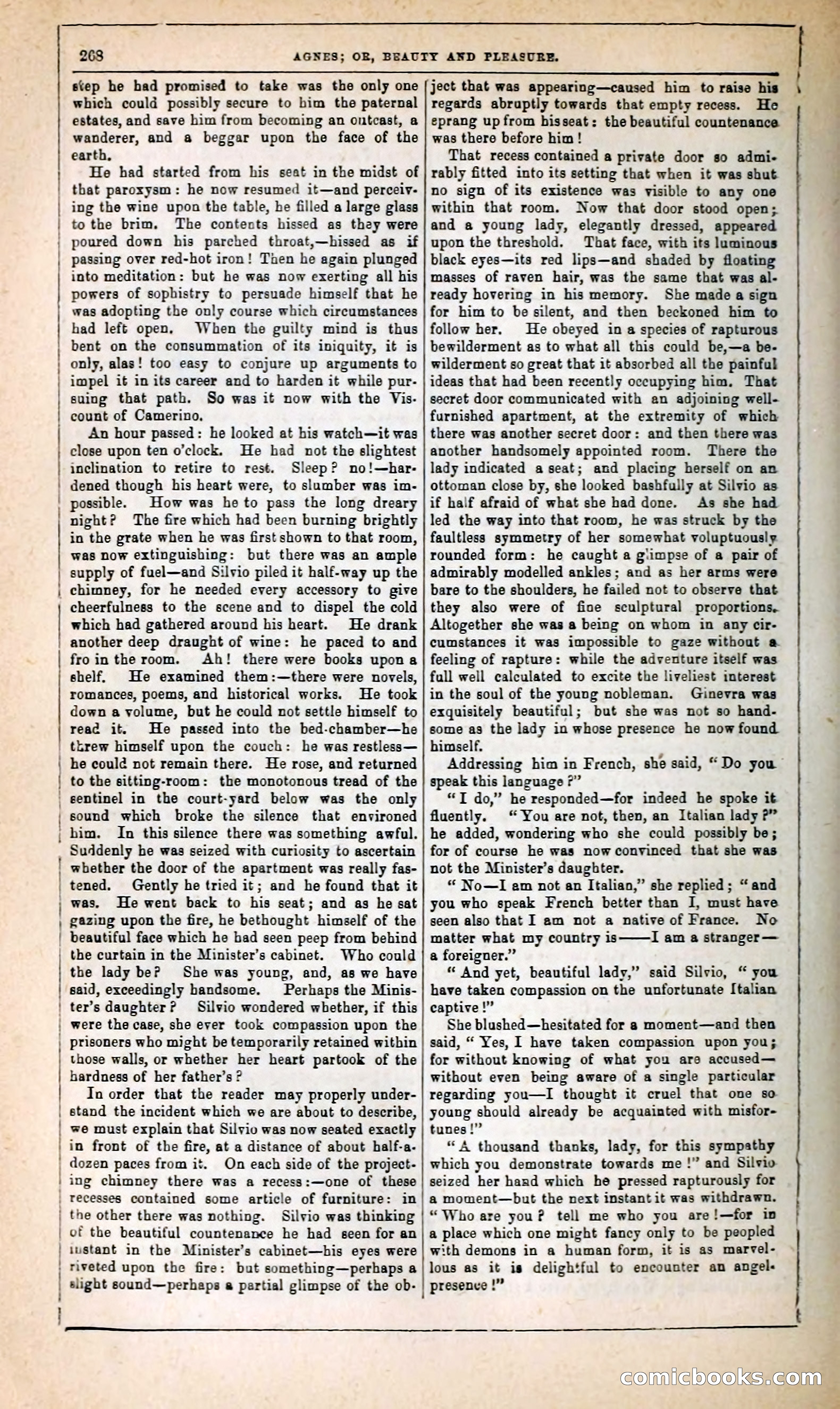 Agnes, or, Beauty and Pleasure — page 276 of 394