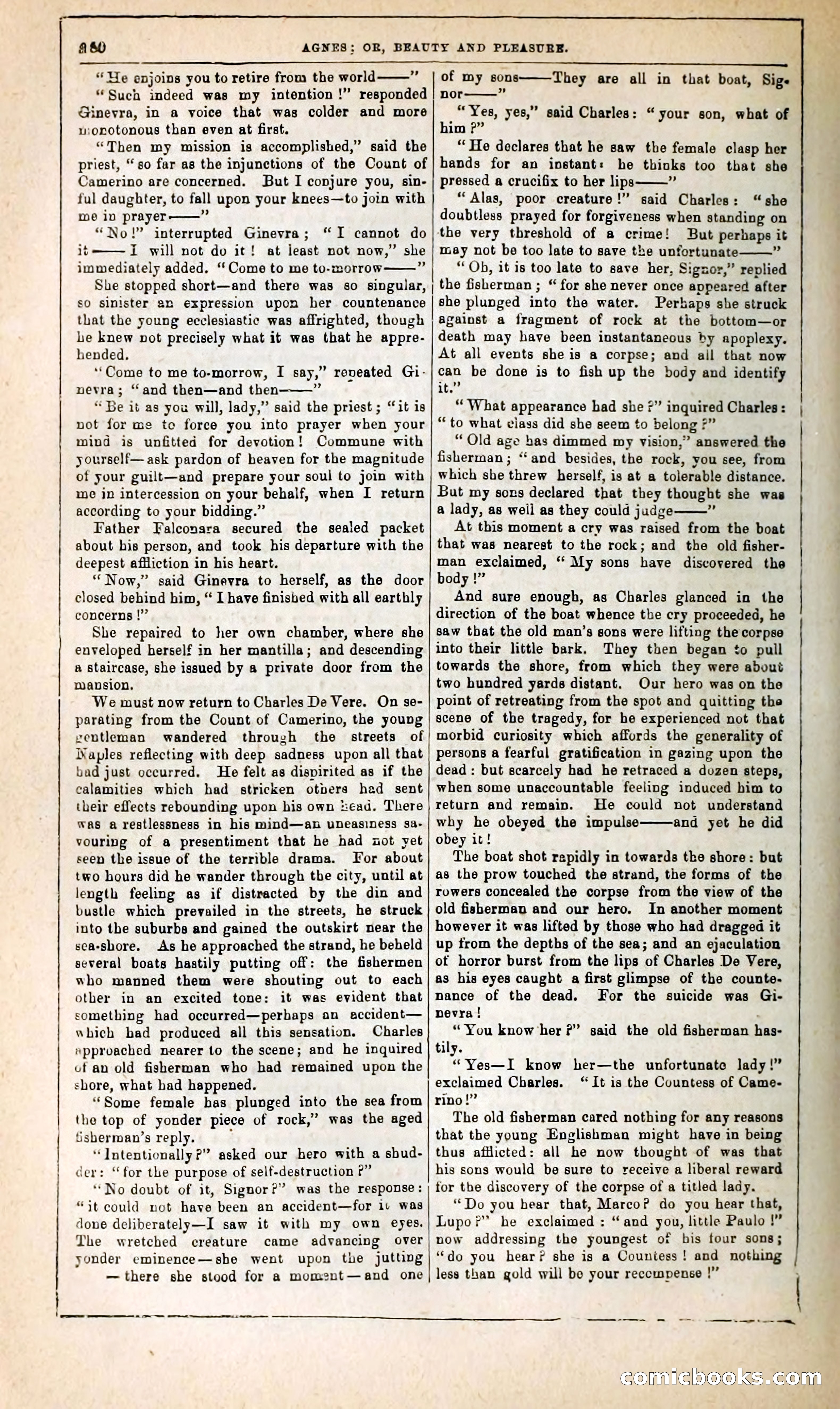 Agnes, or, Beauty and Pleasure — page 288 of 394