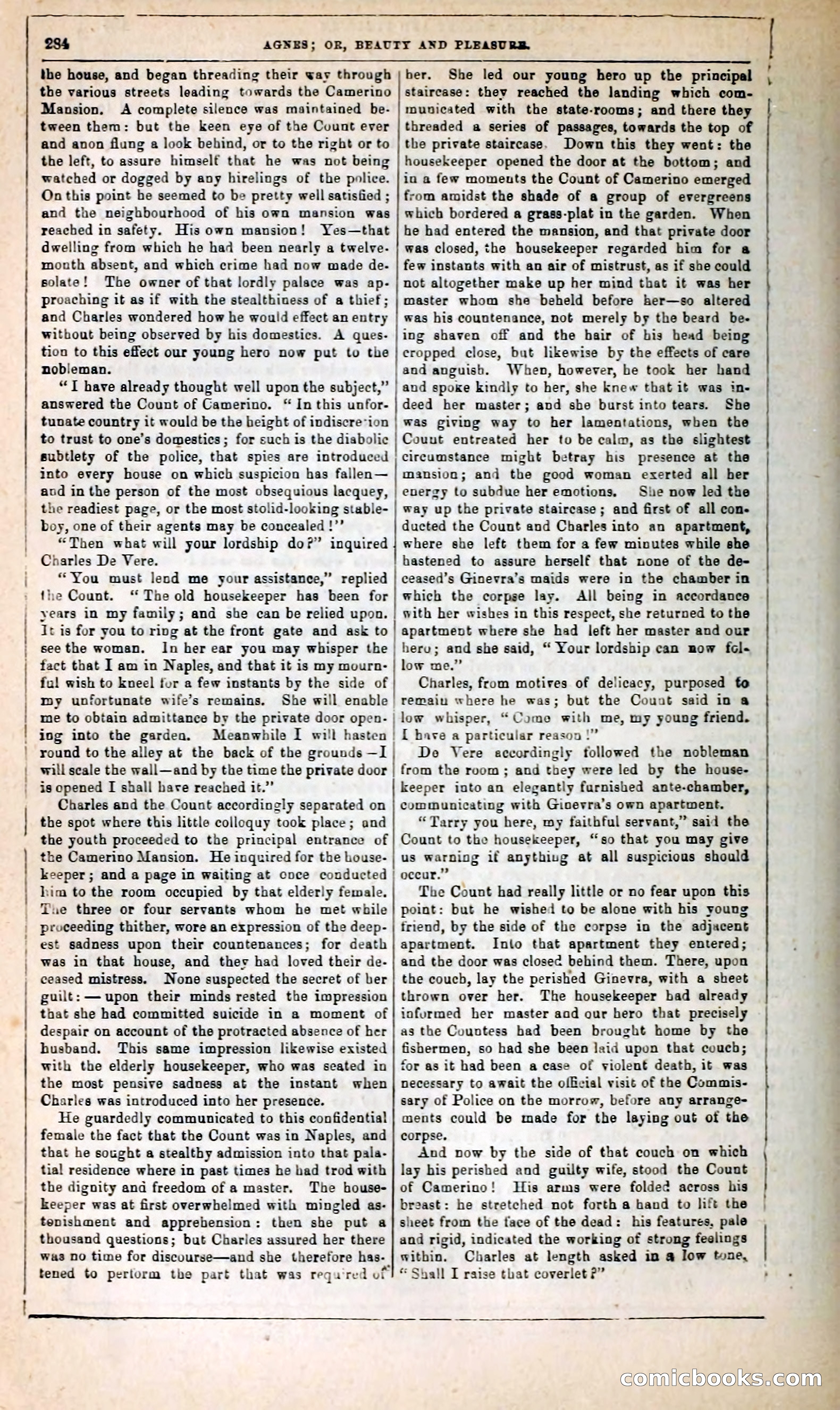 Agnes, or, Beauty and Pleasure — page 292 of 394