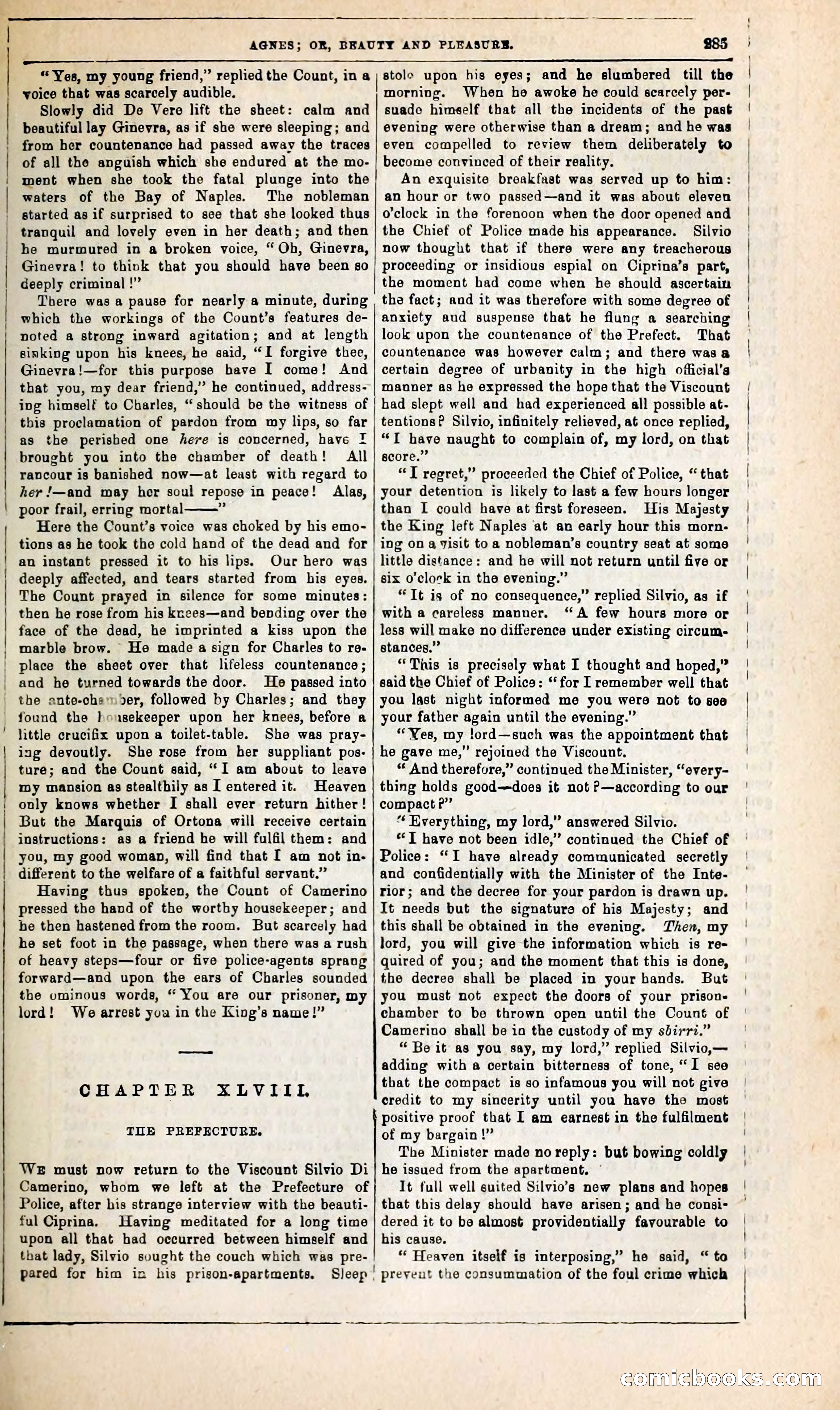 Agnes, or, Beauty and Pleasure — page 293 of 394