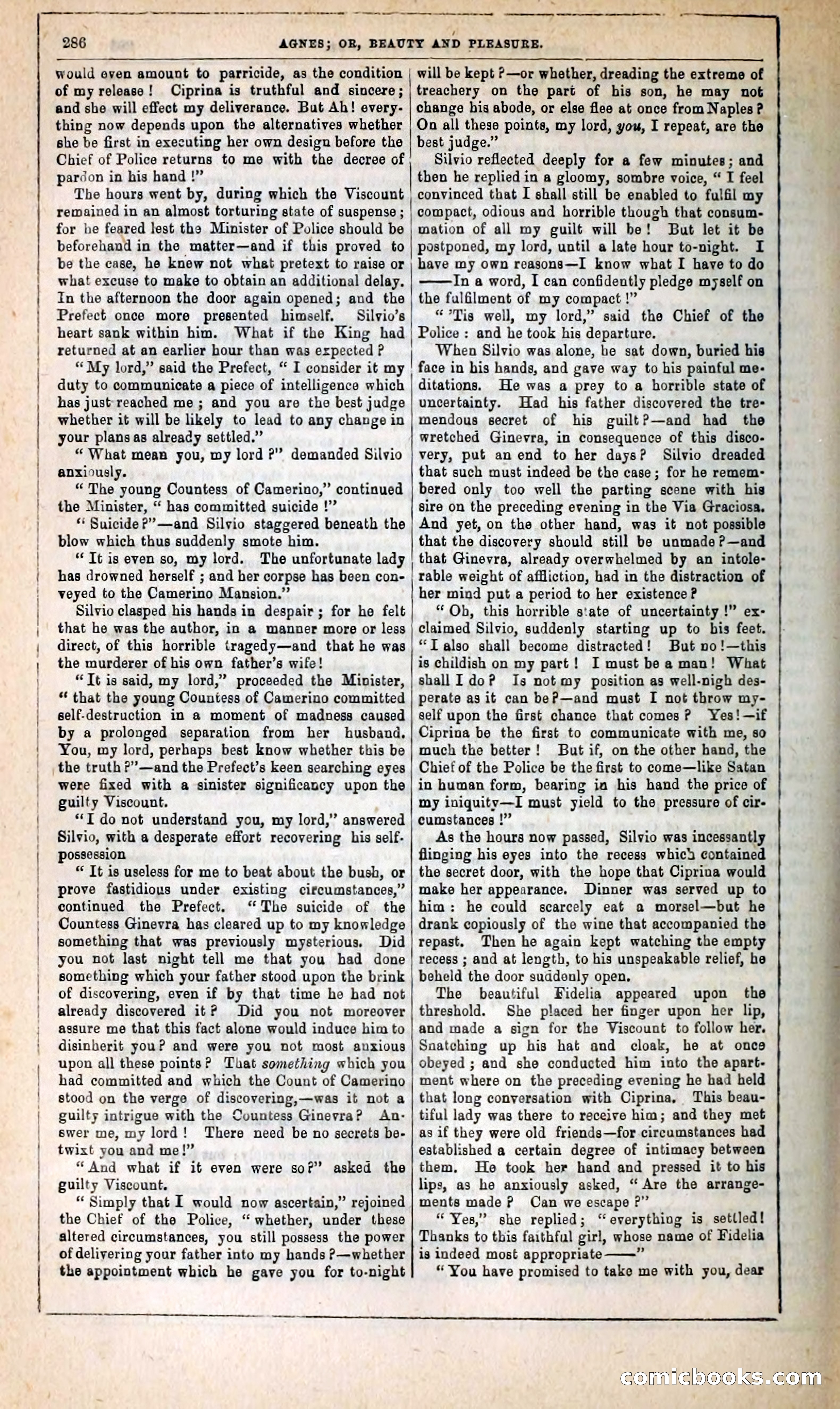 Agnes, or, Beauty and Pleasure — page 294 of 394