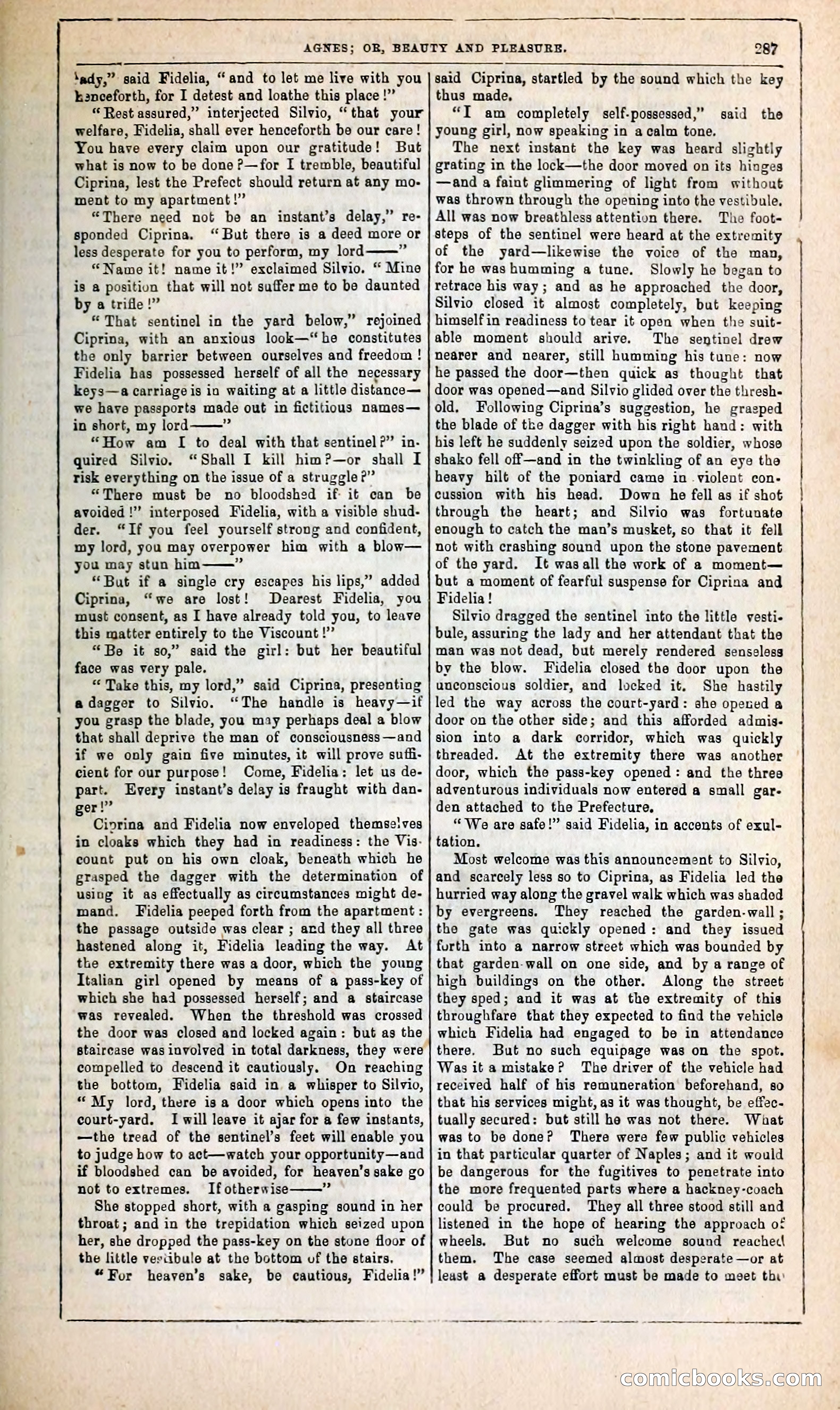 Agnes, or, Beauty and Pleasure — page 295 of 394