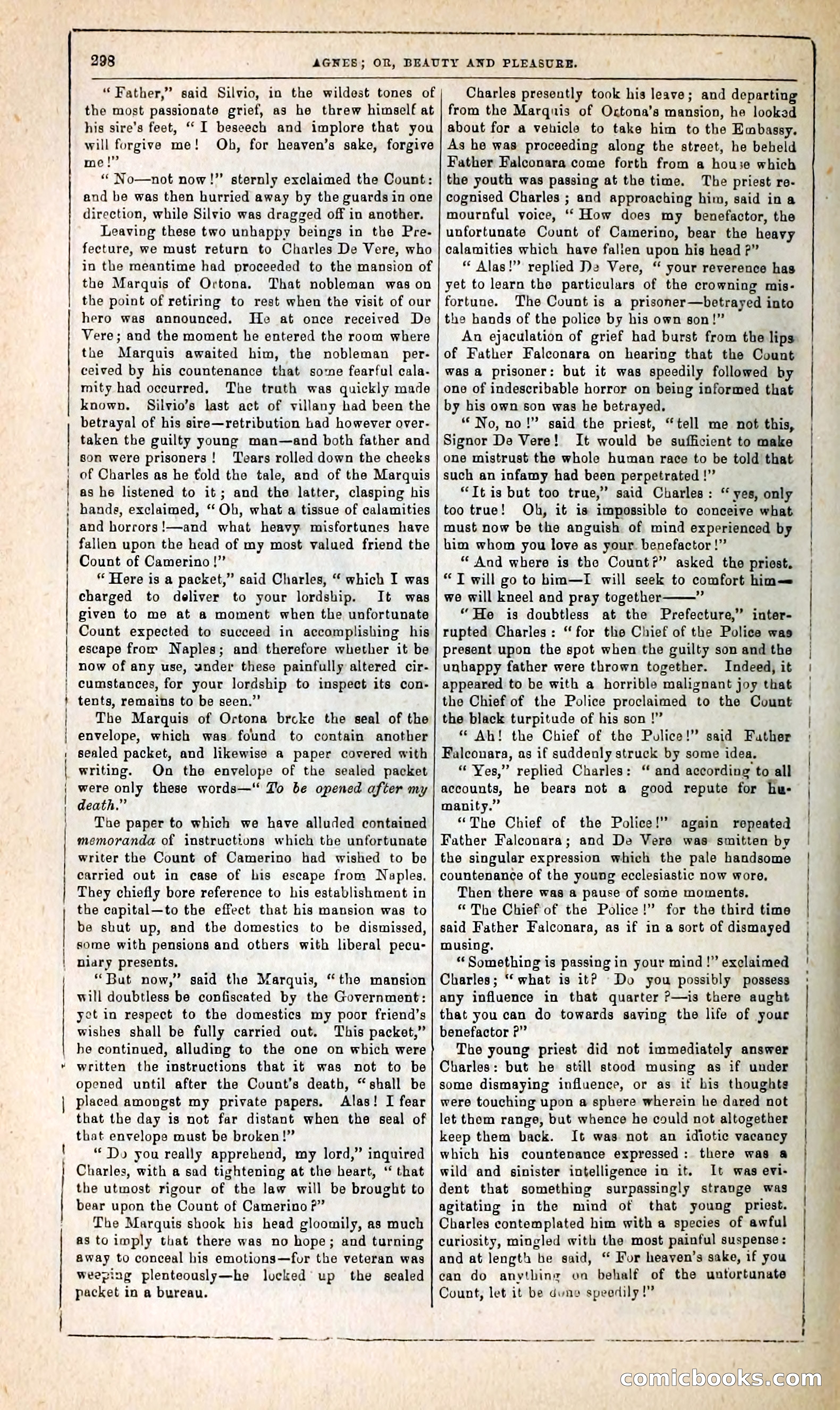Agnes, or, Beauty and Pleasure — page 306 of 394