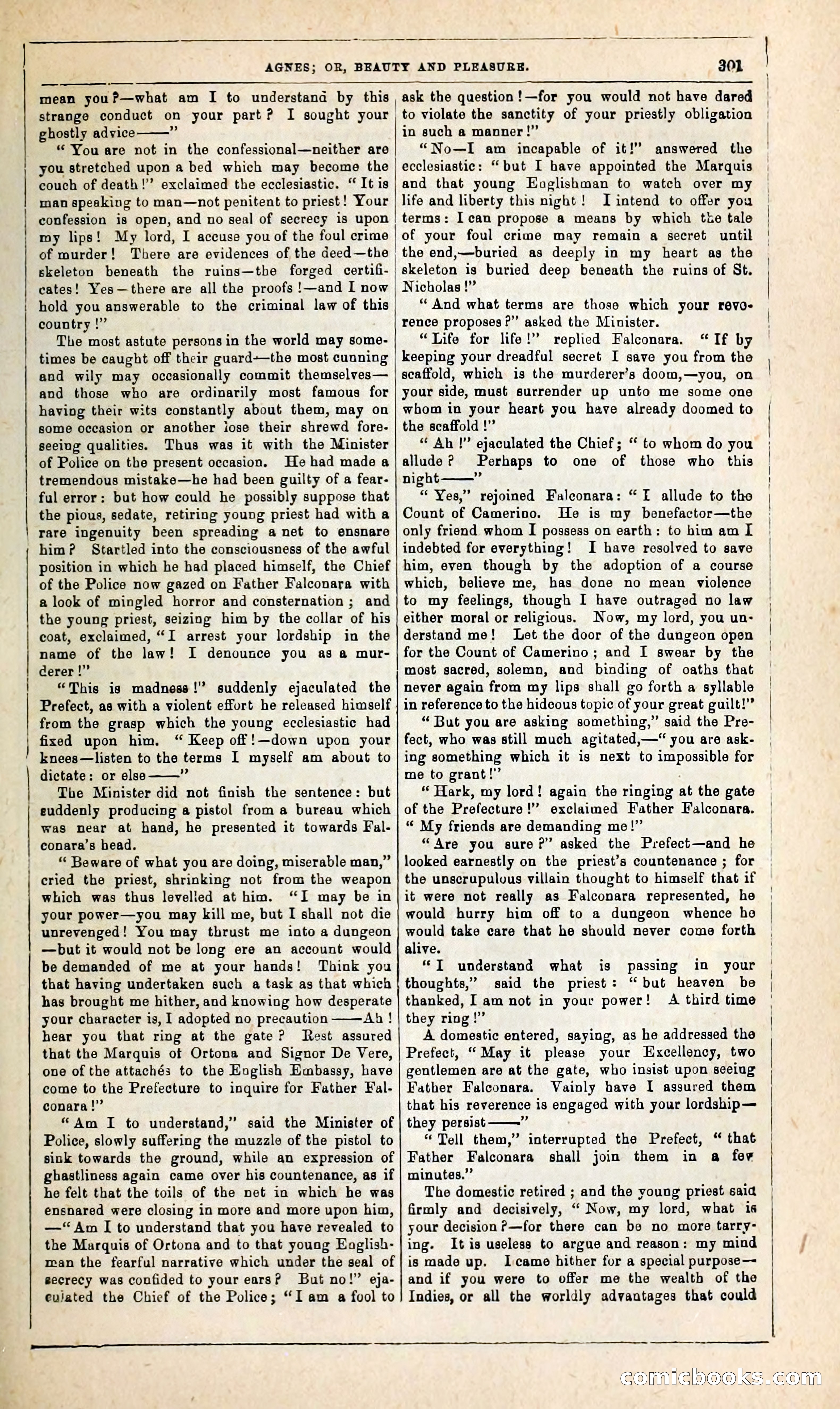 Agnes, or, Beauty and Pleasure — page 309 of 394