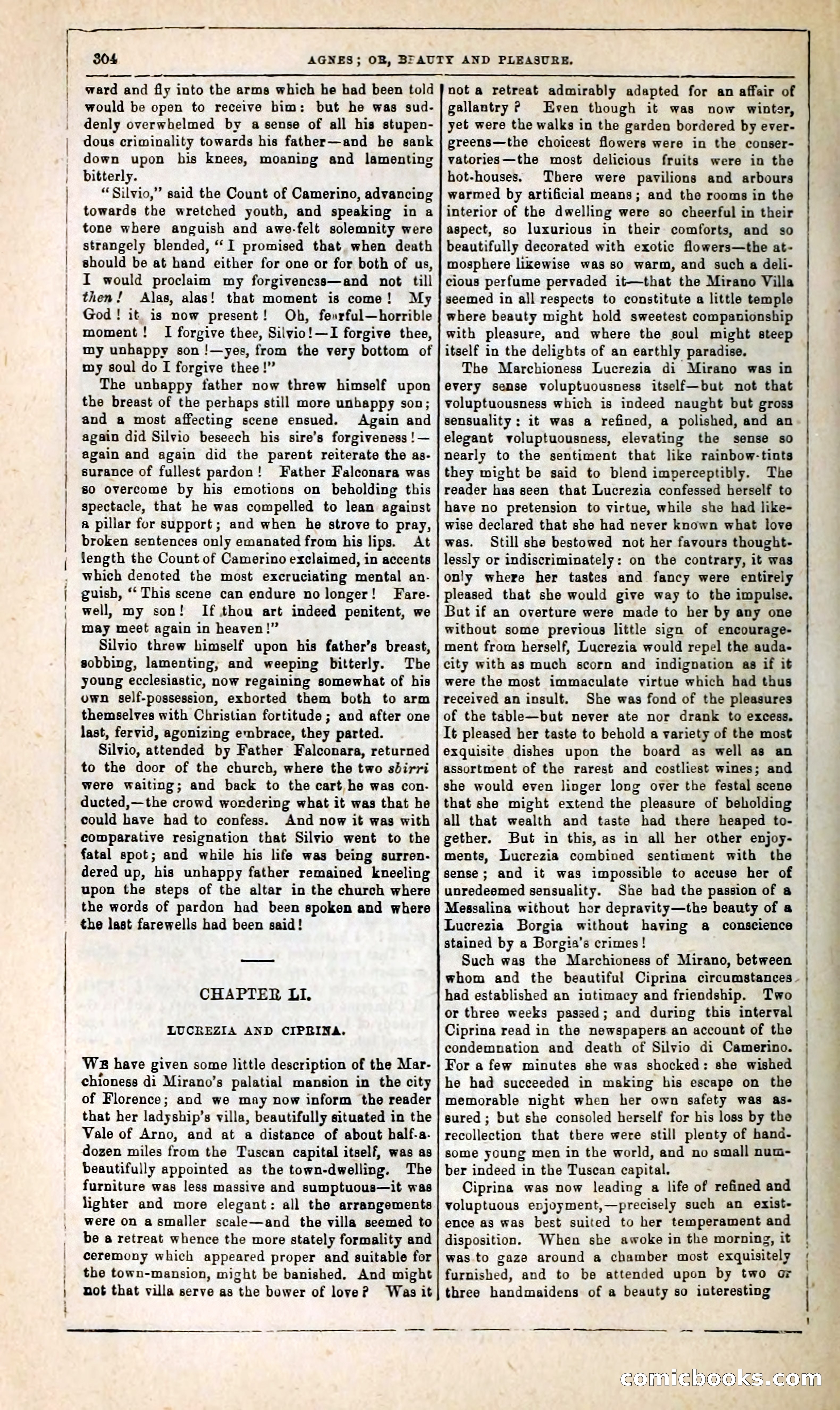 Agnes, or, Beauty and Pleasure — page 312 of 394