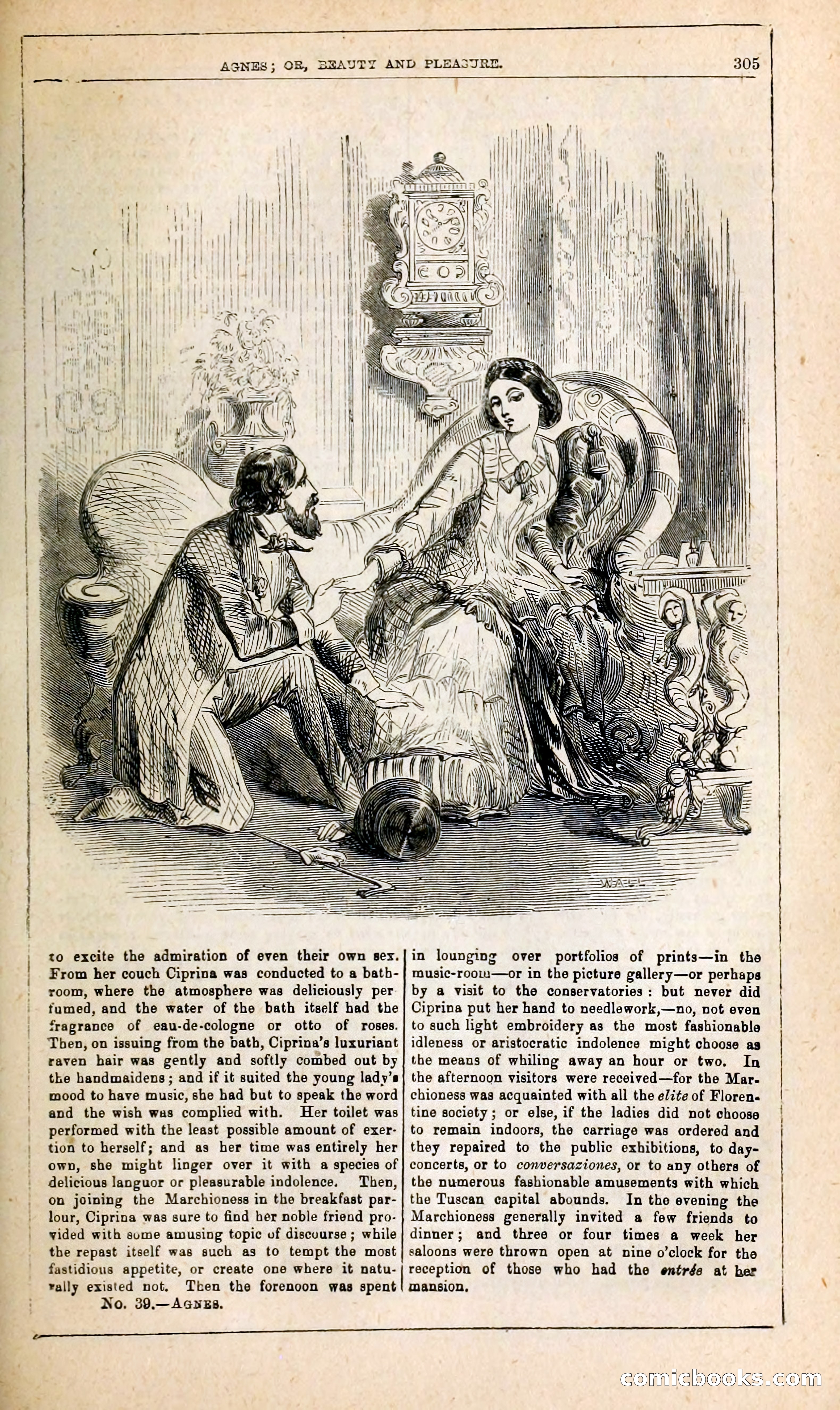 Agnes, or, Beauty and Pleasure — page 313 of 394