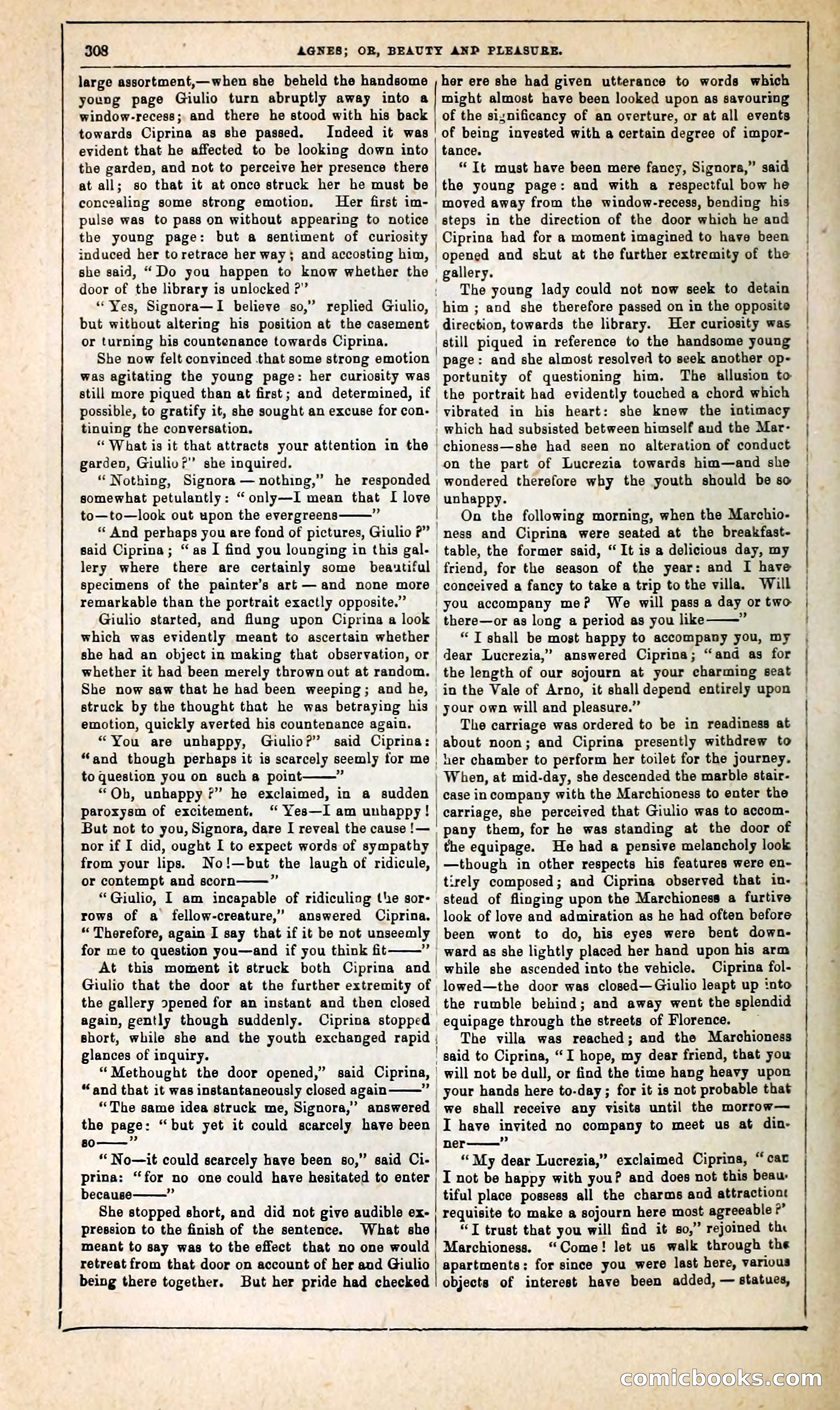 Agnes, or, Beauty and Pleasure — page 316 of 394