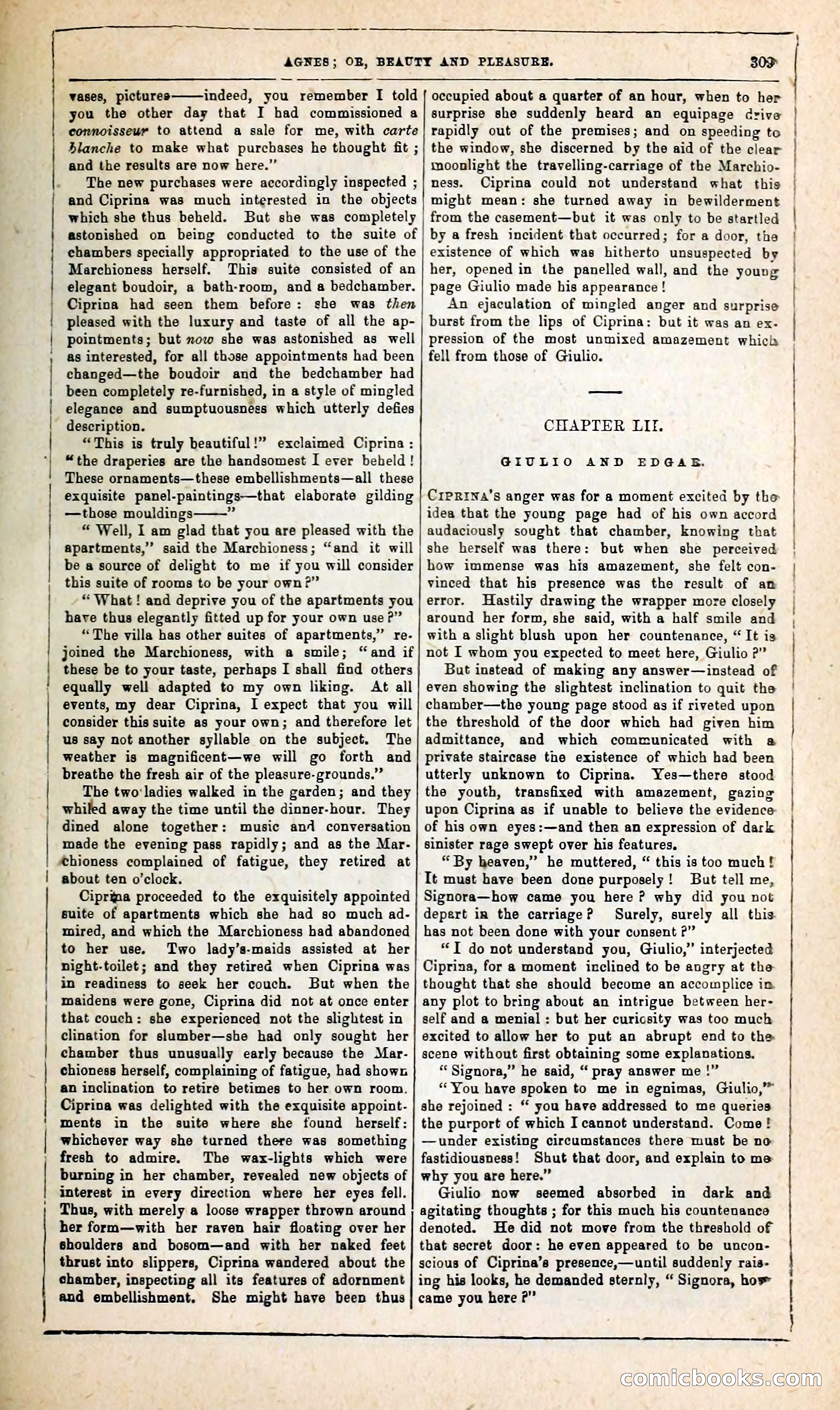 Agnes, or, Beauty and Pleasure — page 317 of 394