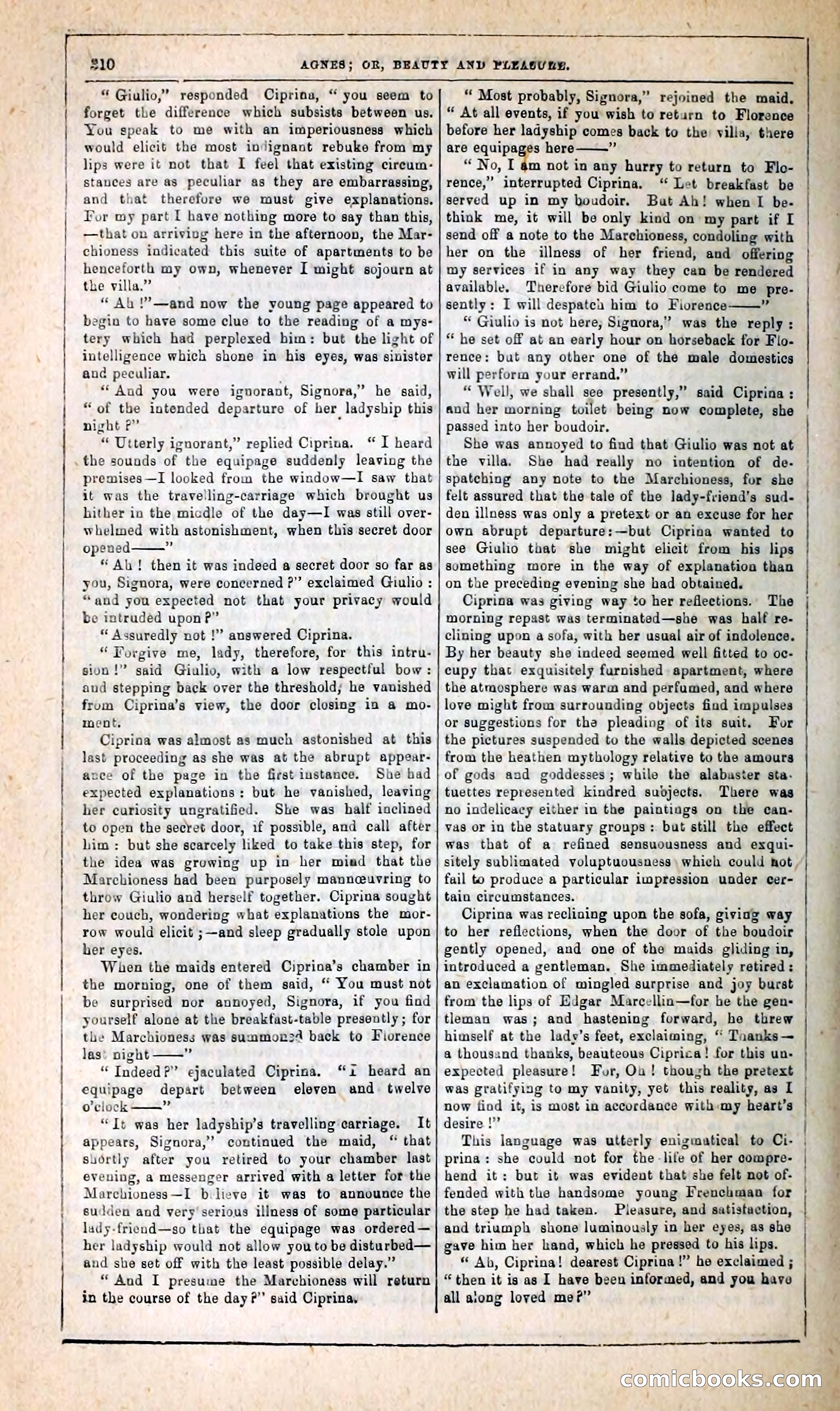 Agnes, or, Beauty and Pleasure — page 318 of 394