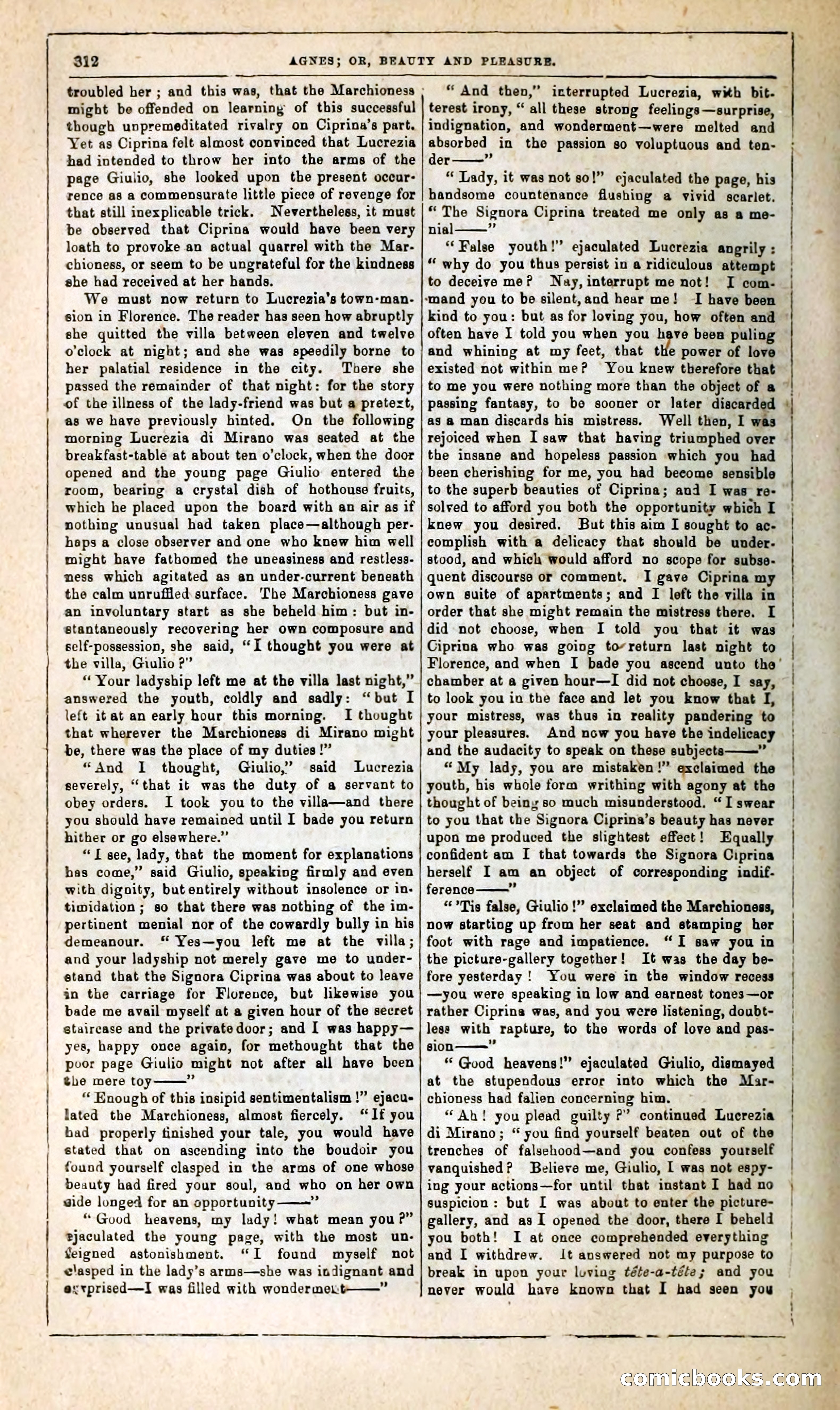 Agnes, or, Beauty and Pleasure — page 320 of 394