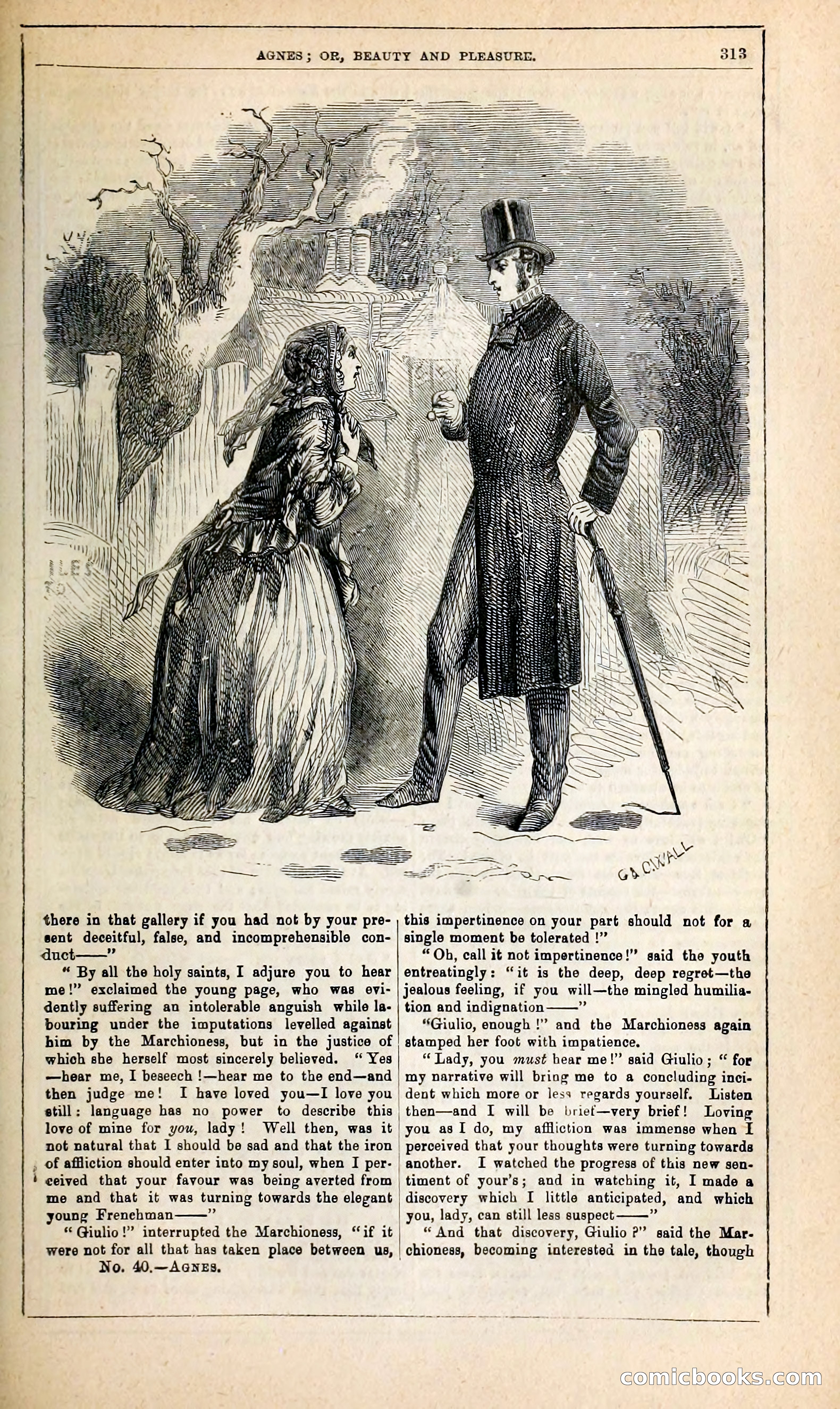 Agnes, or, Beauty and Pleasure — page 321 of 394