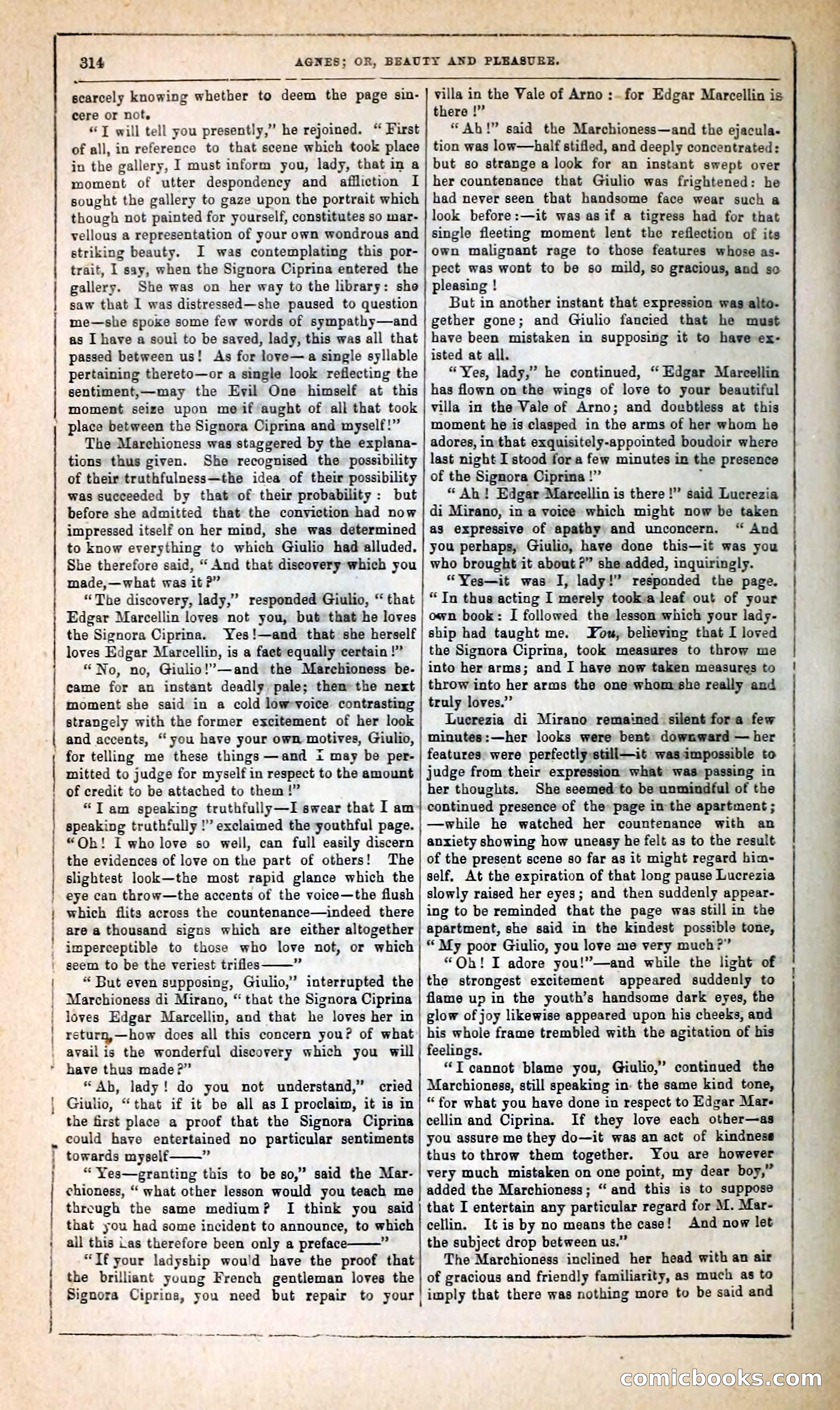 Agnes, or, Beauty and Pleasure — page 322 of 394