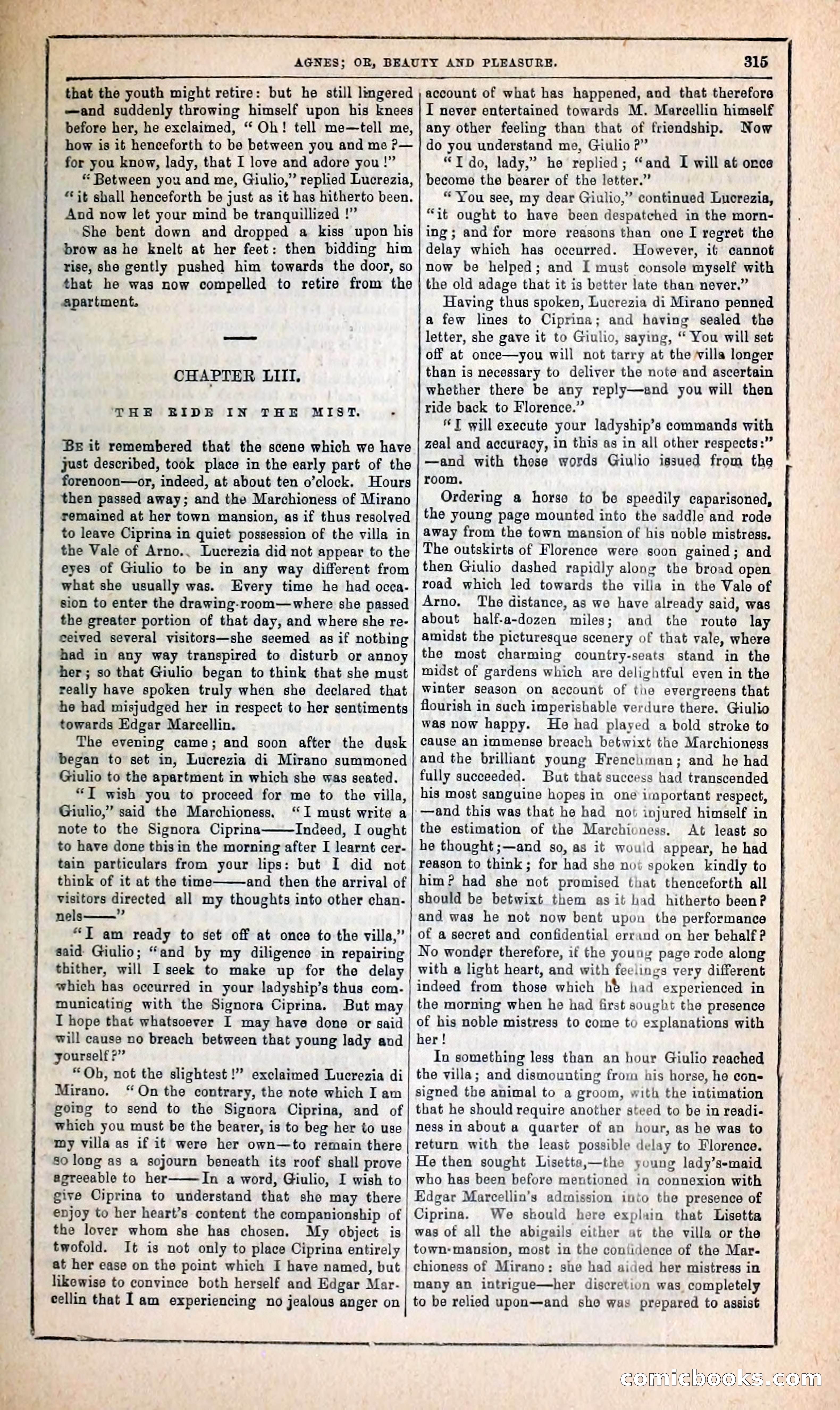 Agnes, or, Beauty and Pleasure — page 323 of 394