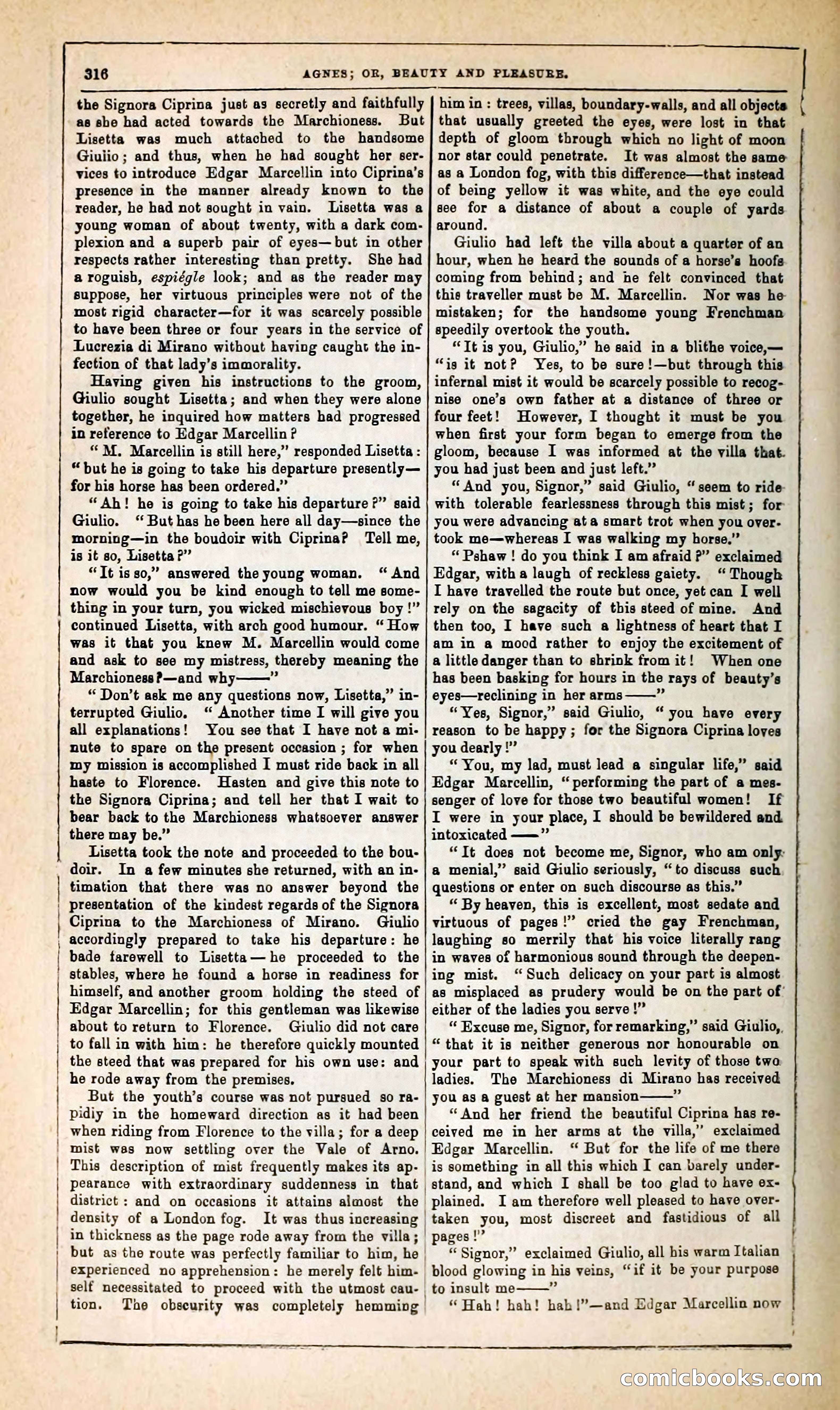 Agnes, or, Beauty and Pleasure — page 324 of 394