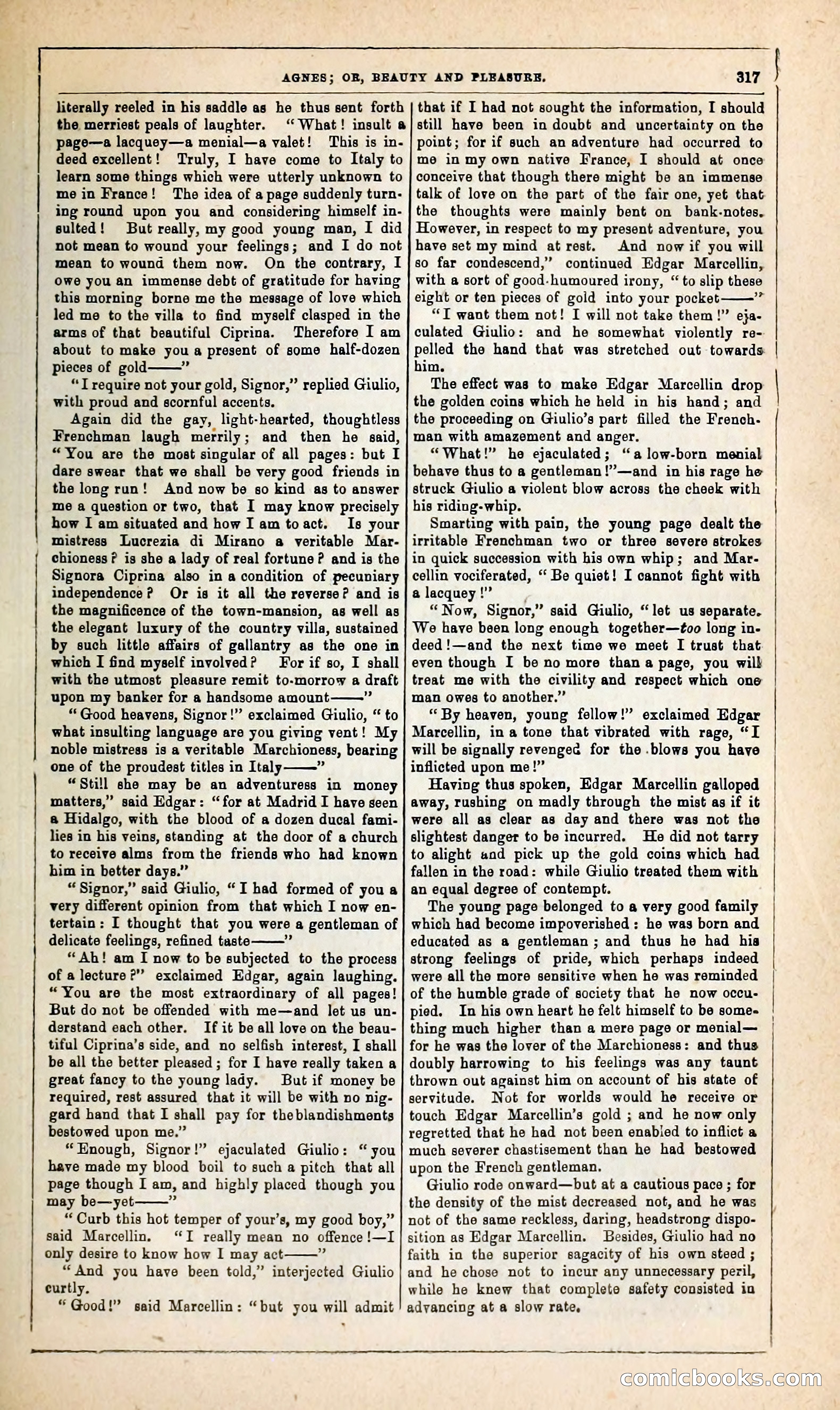 Agnes, or, Beauty and Pleasure — page 325 of 394