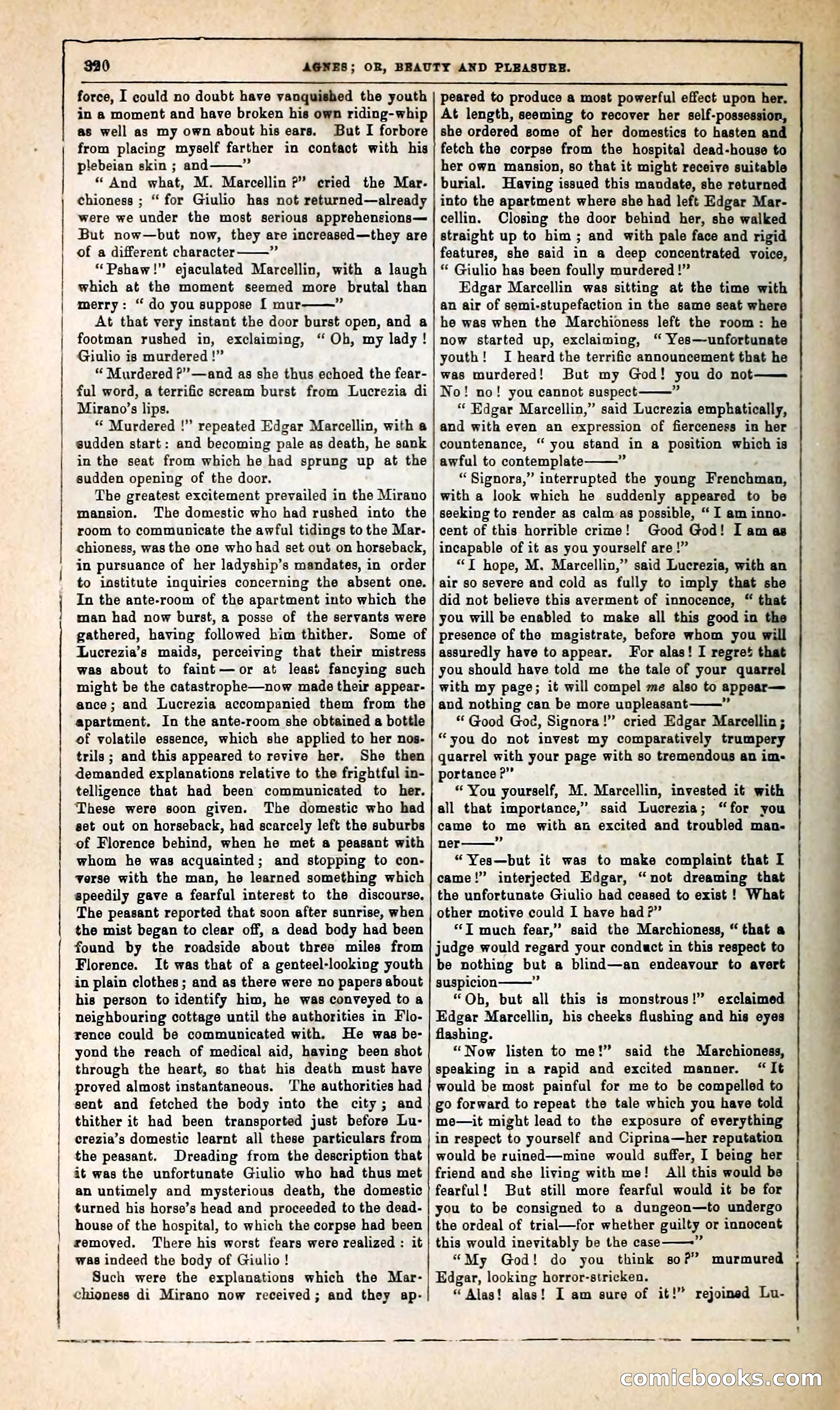 Agnes, or, Beauty and Pleasure — page 328 of 394