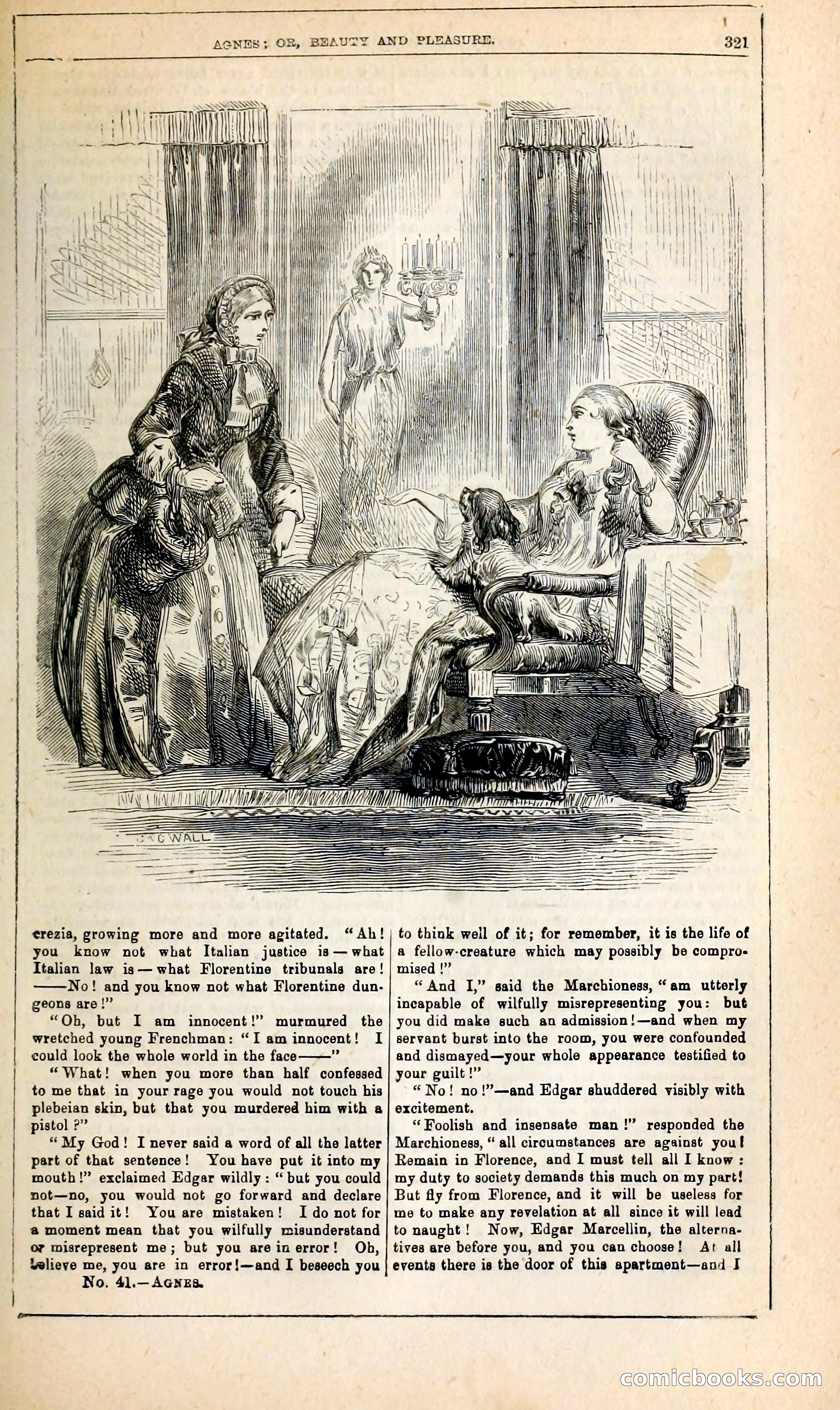 Agnes, or, Beauty and Pleasure — page 329 of 394