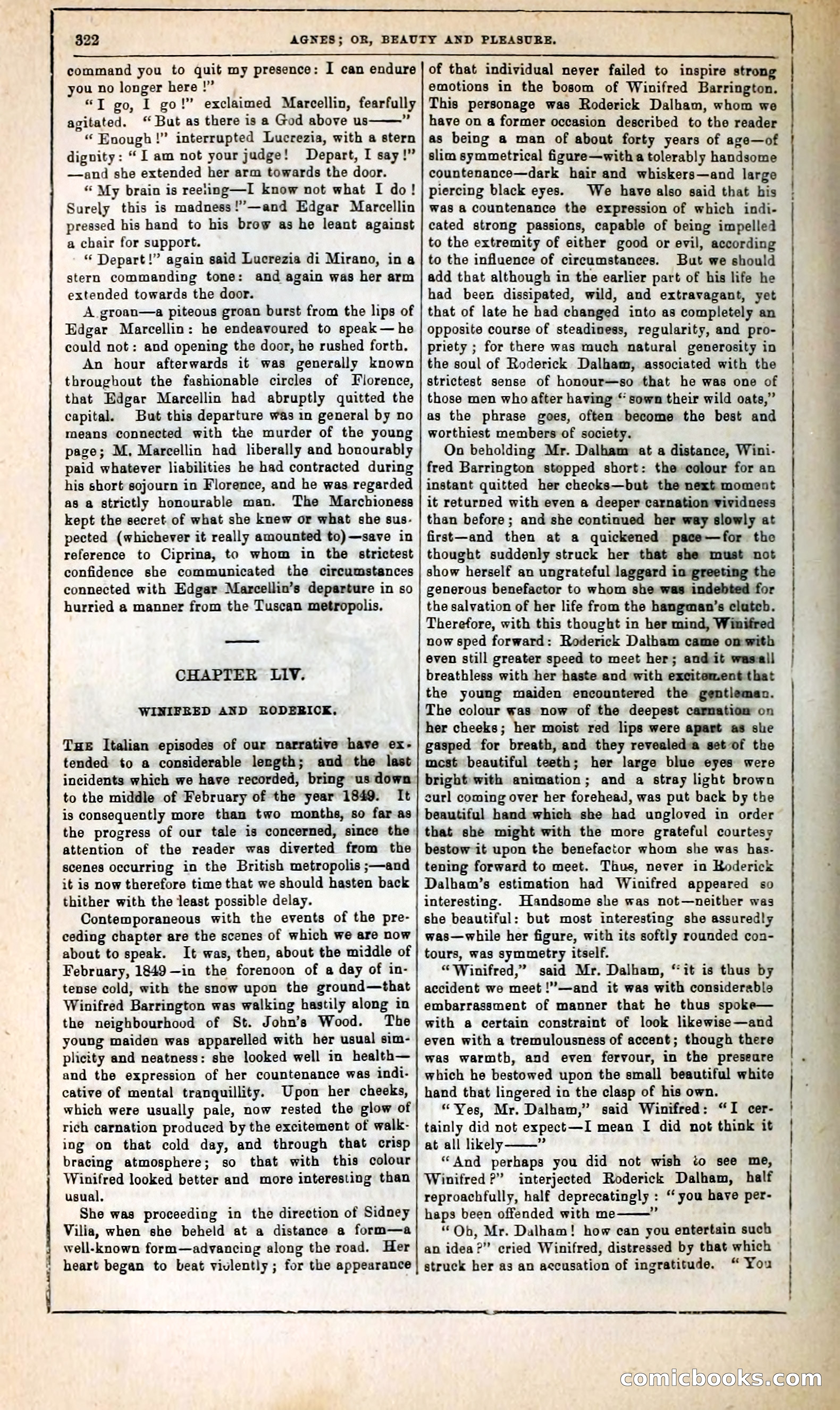 Agnes, or, Beauty and Pleasure — page 330 of 394