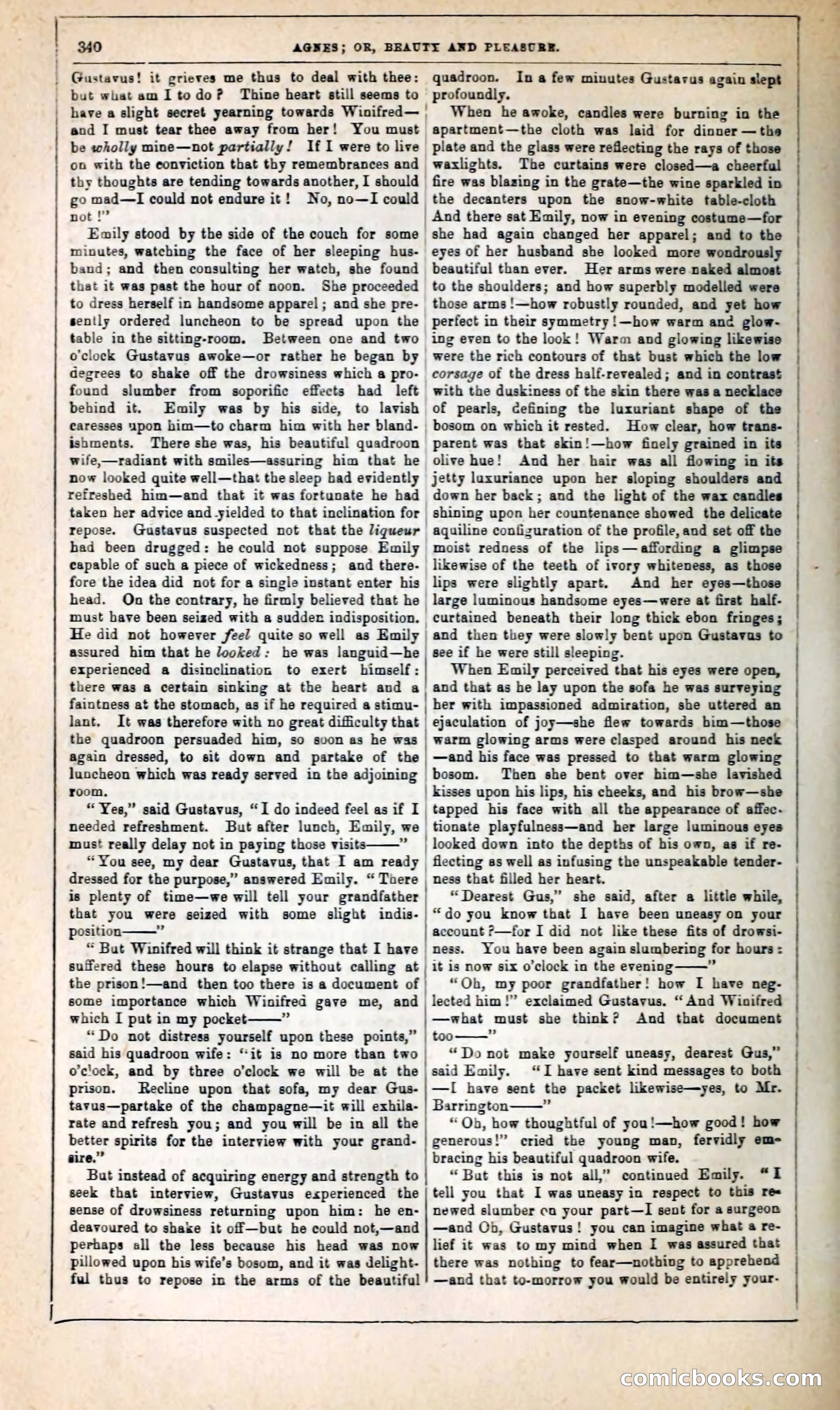 Agnes, or, Beauty and Pleasure — page 348 of 394