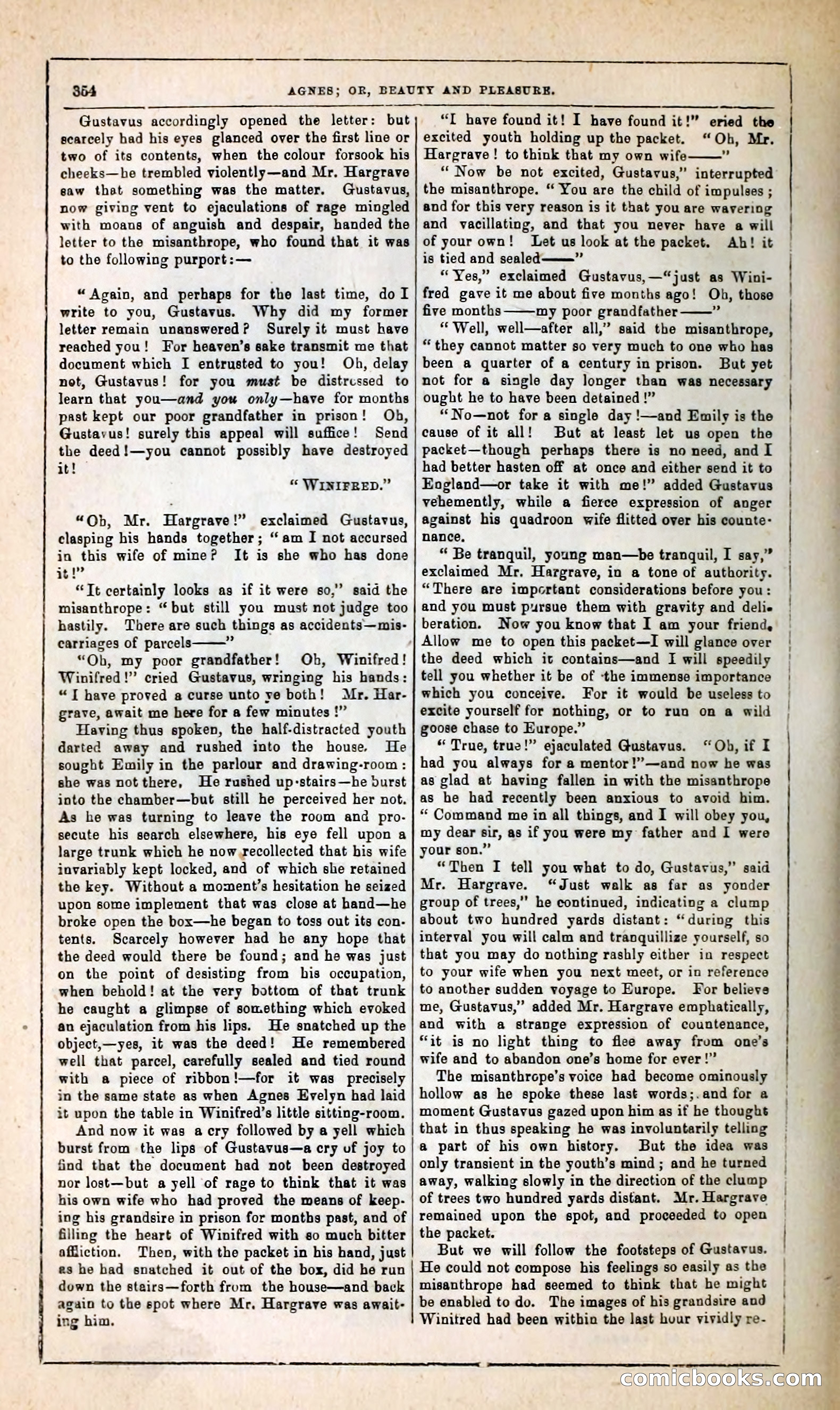 Agnes, or, Beauty and Pleasure — page 362 of 394