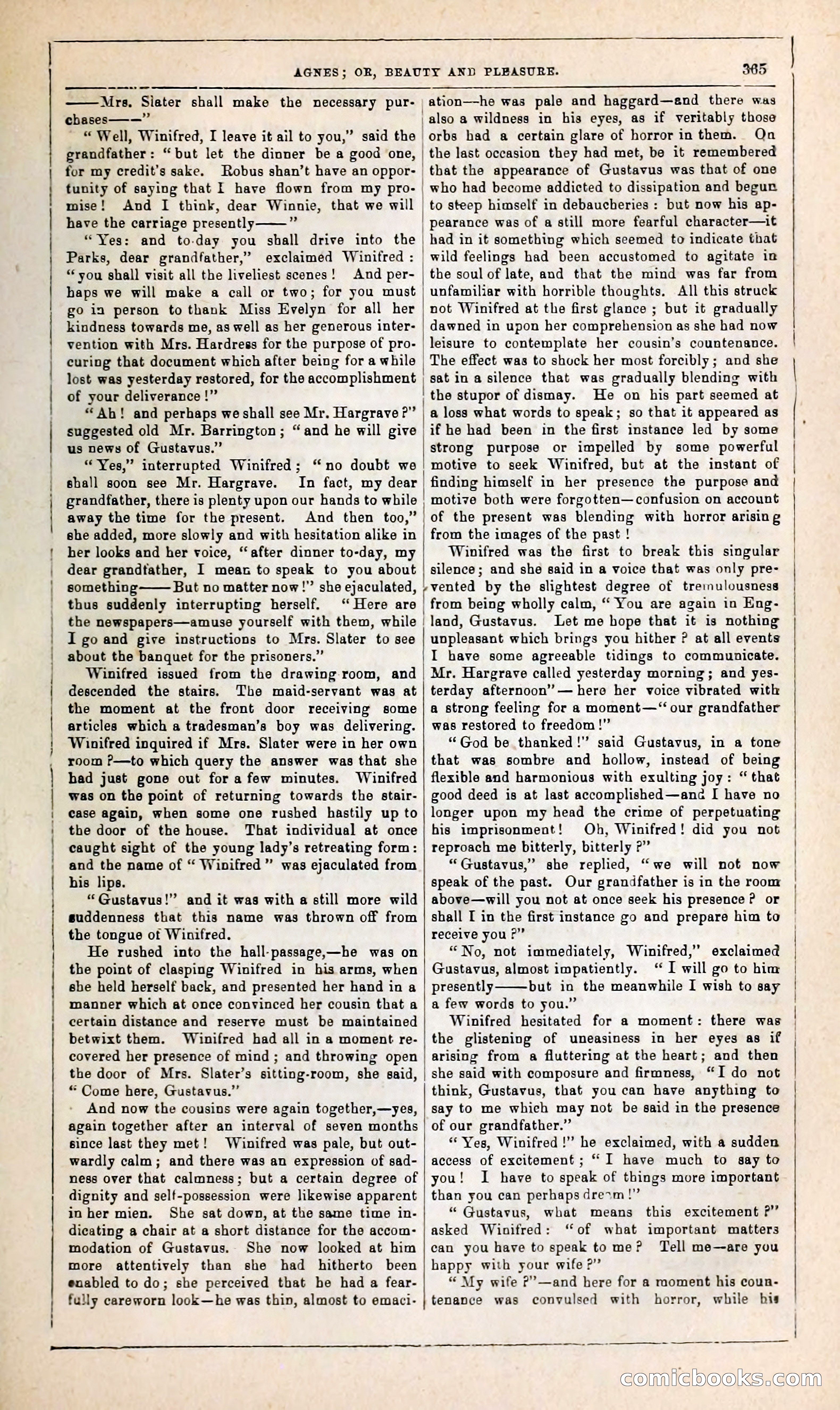 Agnes, or, Beauty and Pleasure — page 373 of 394