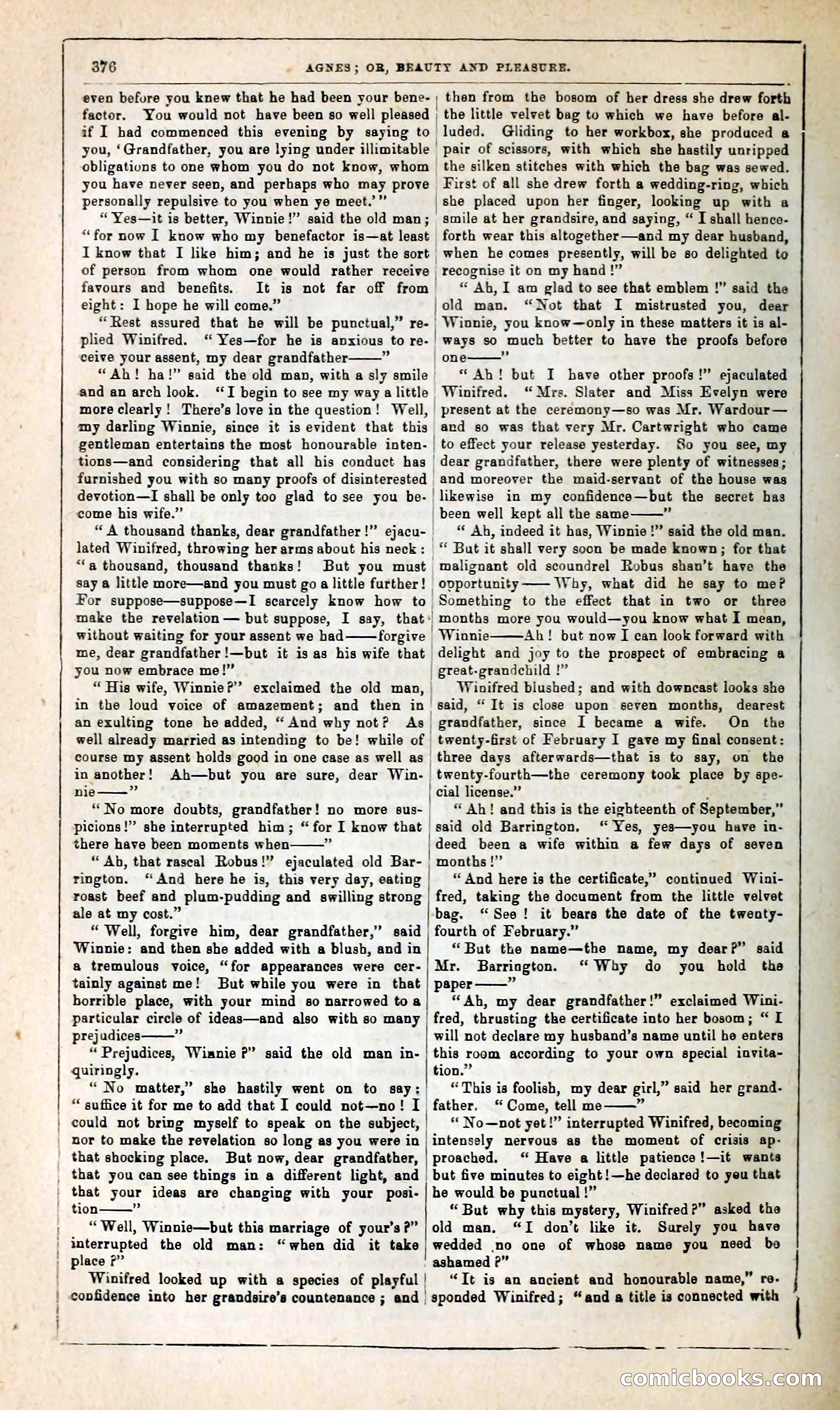Agnes, or, Beauty and Pleasure — page 384 of 394