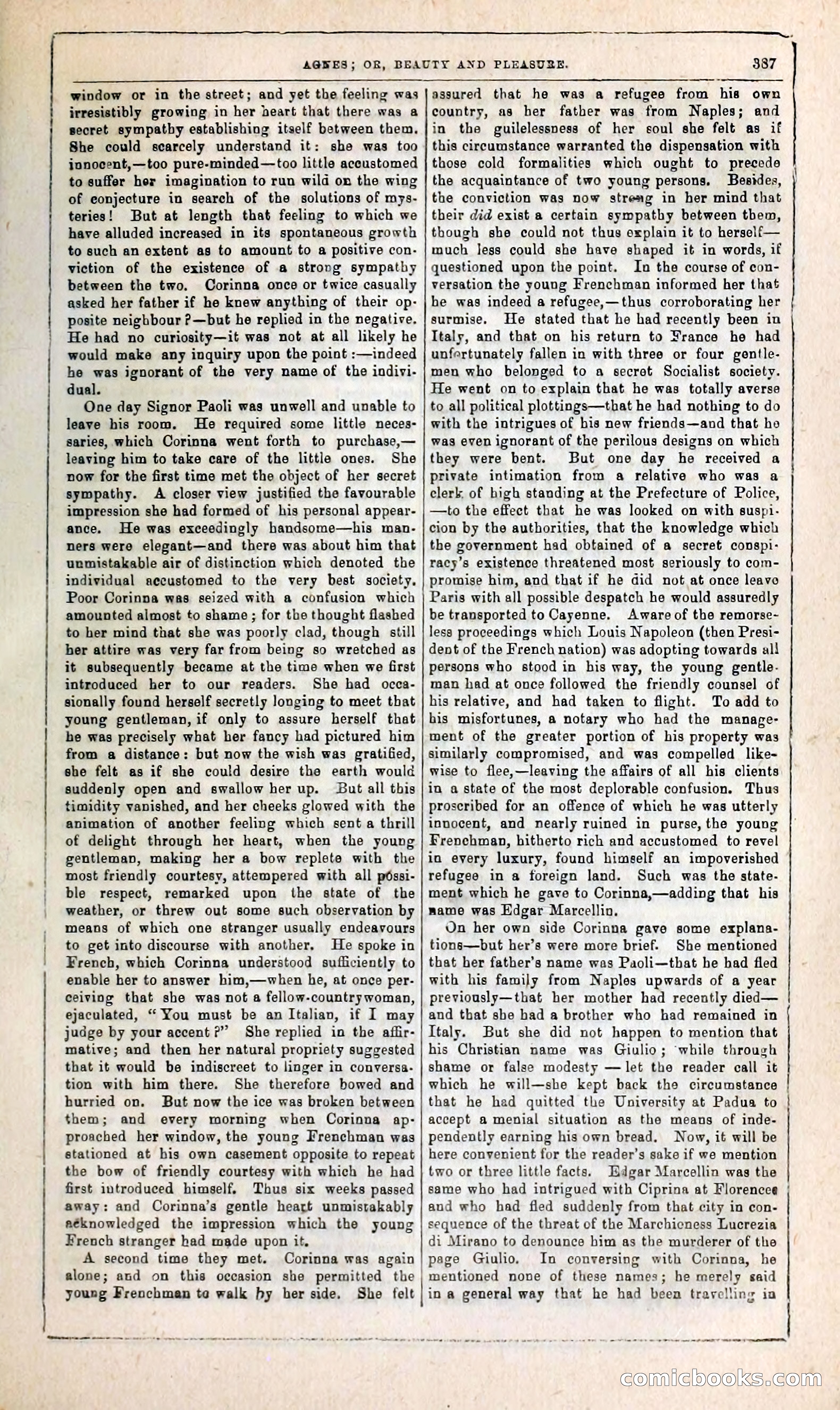 Agnes, or, Beauty and Pleasure — page 395 of 394